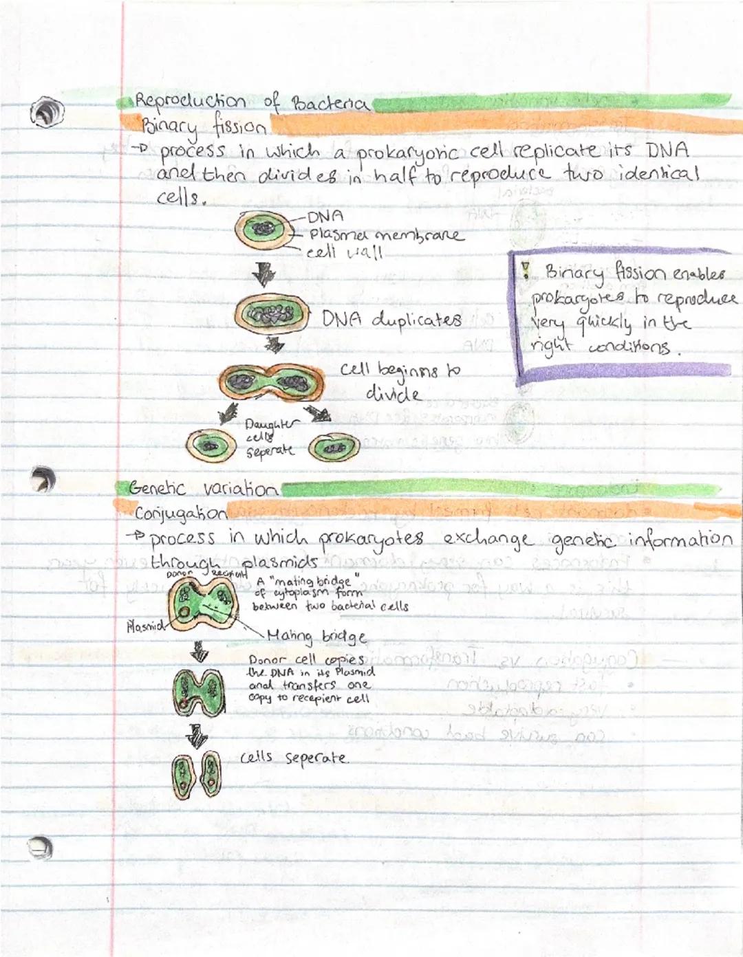 Biology exam prep

Pathogens

virus
D

•microscopic, non living pathogen made out of protein, nucleic acids.
and sometimes lipids.
Viruses c