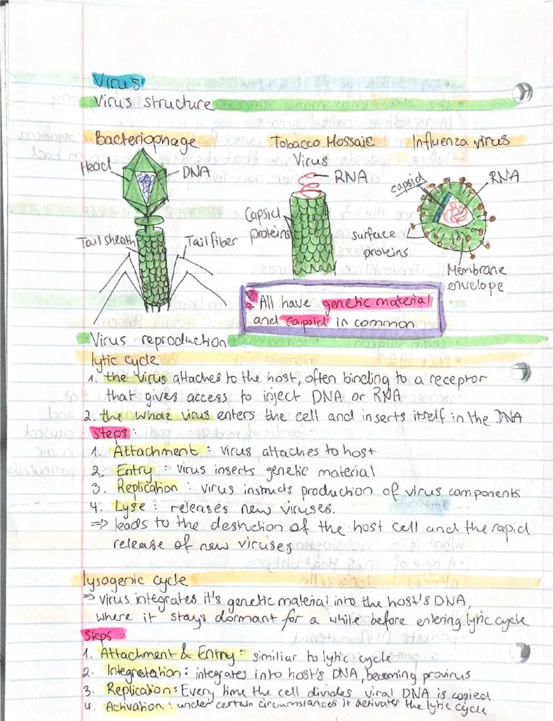 Biology exam prep

Pathogens

virus
D

•microscopic, non living pathogen made out of protein, nucleic acids.
and sometimes lipids.
Viruses c