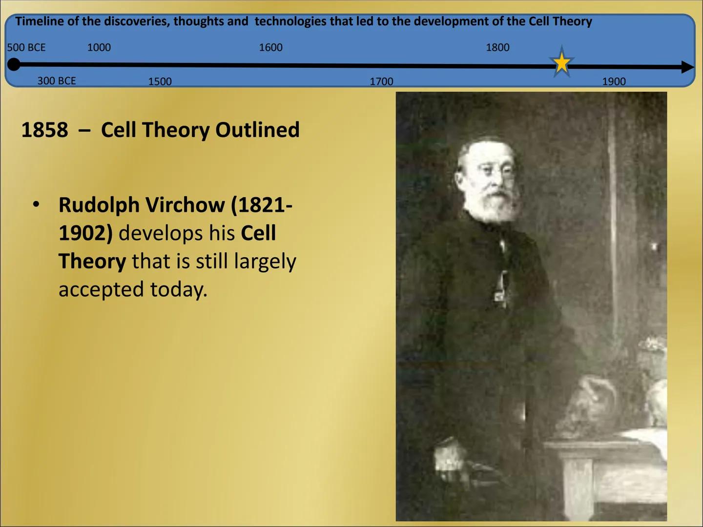 # The Cell Theory Timeline of the discoveries, thoughts and technologies that led to the development of the Cell Theory

500 BCE

300 BCE

1