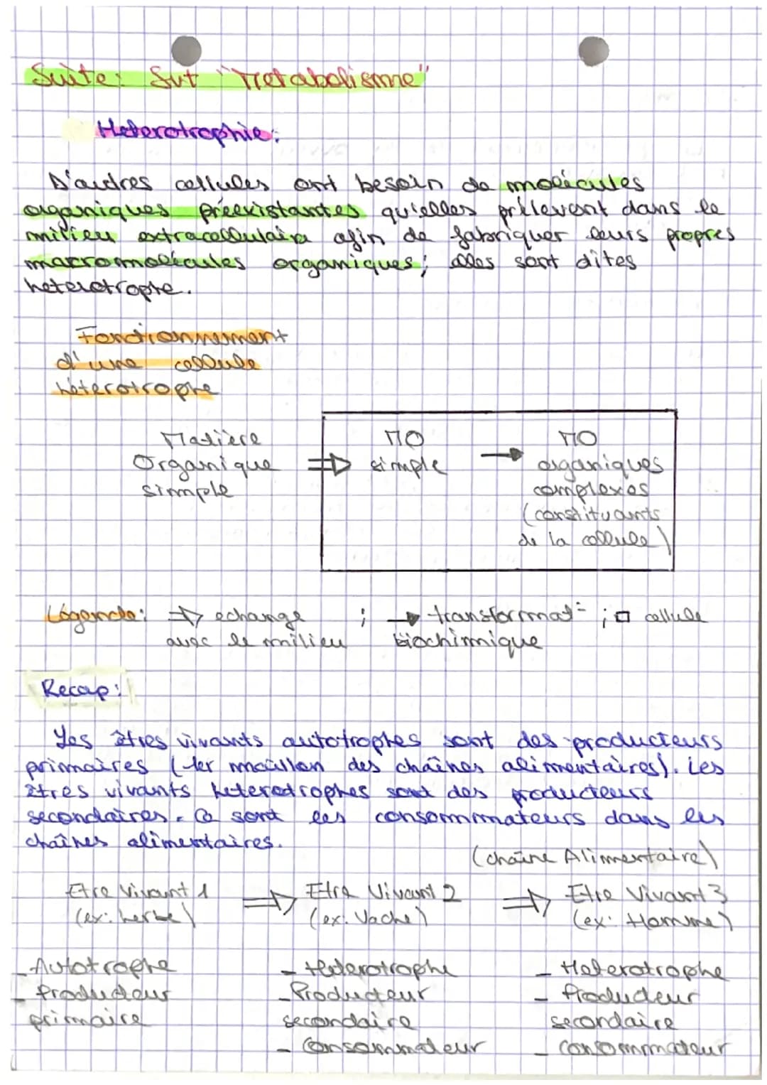 # Sut: Le Tletabolisme

Definitions:

metabolismo ensemble des transformations
biochimiques qui ast lieu dans une cellule.

Avere médabdique