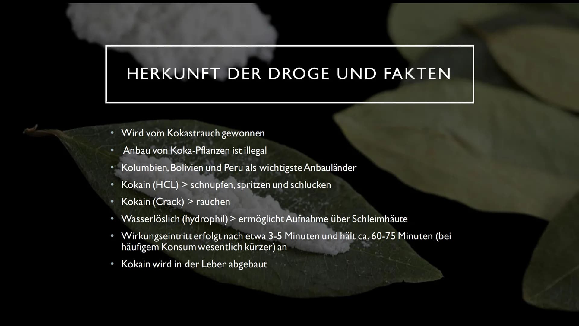 KOKAIN

"Wenn der "Schnee" zu oft rieselt...
...dann droht der Herzinfarkt" INHALTSVERZEICHNIS

Herkunft und
Fakten der Droge

Wirkung im
Ne