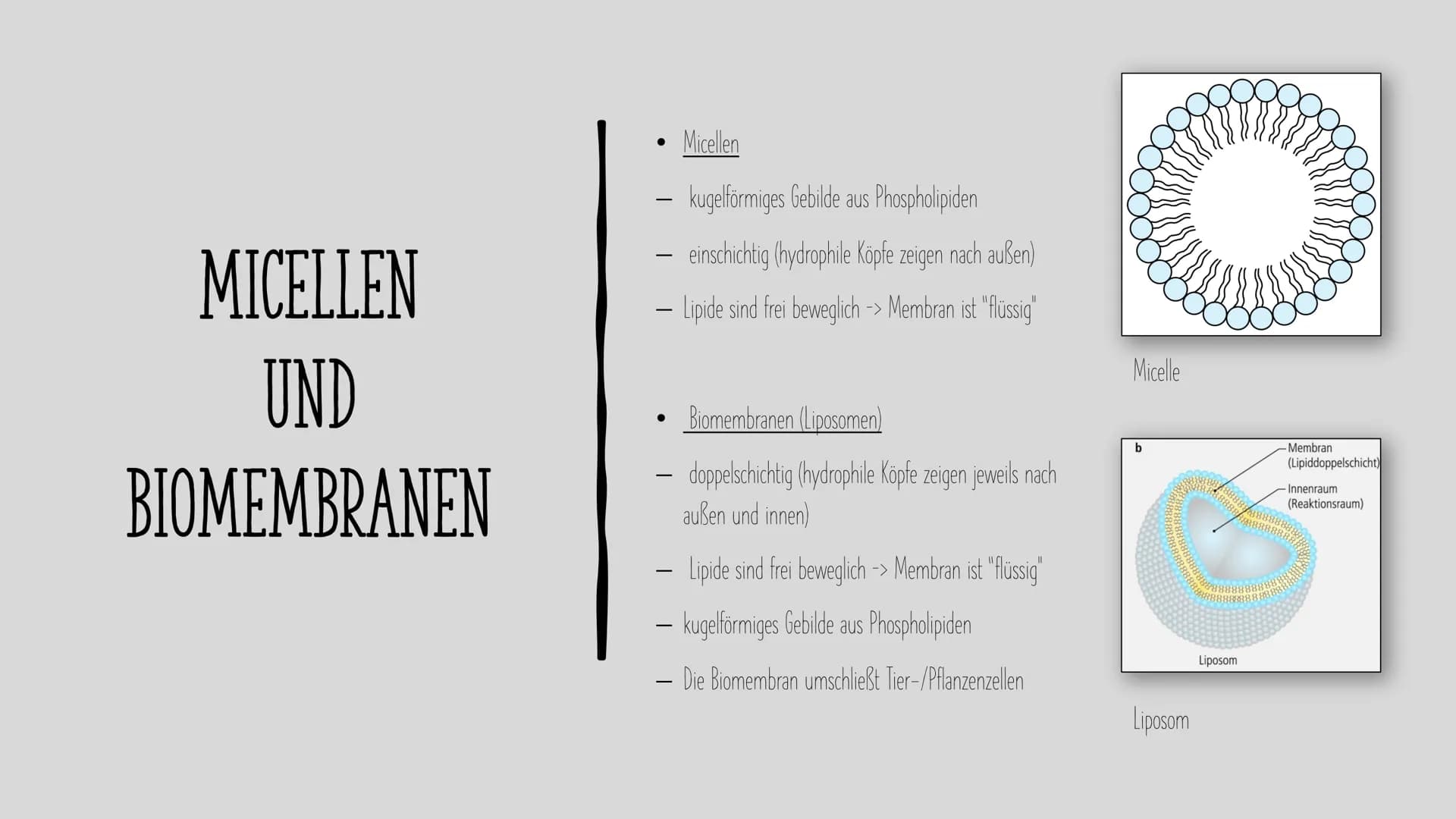 # LIPIDE

Charlotte und Laura H. # INHALT

Als was kommen Lipide vor?
Aufgaben und Eigenschaften von Lipiden
Aufbau von Lipiden
Fettsäuren
G