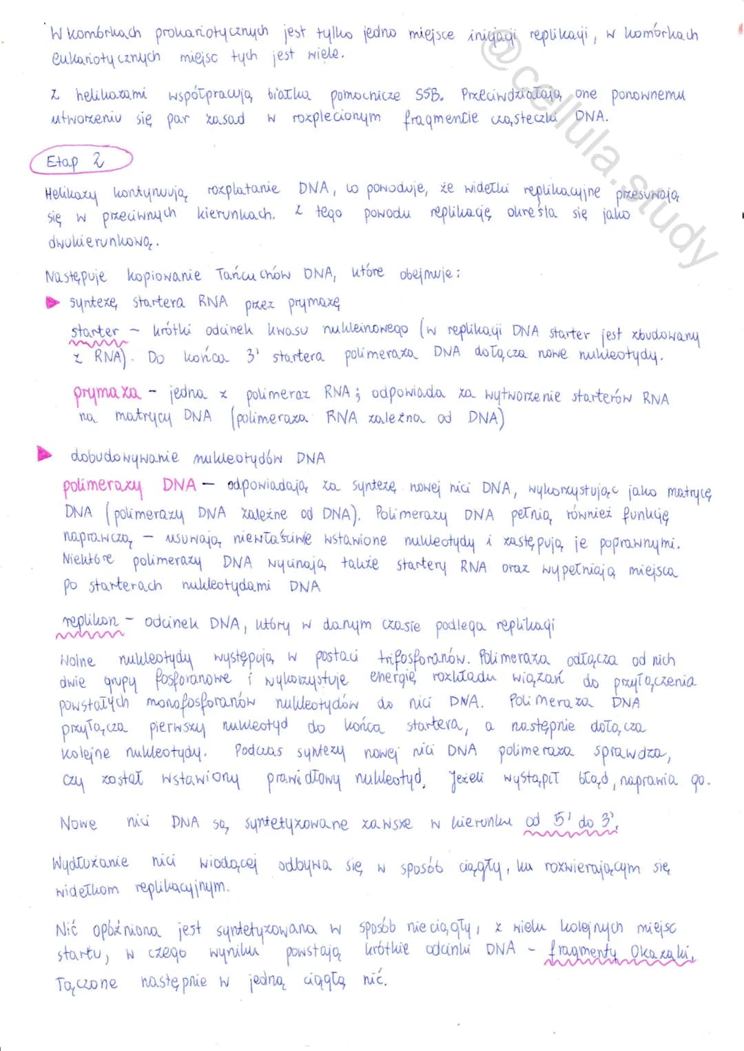 # Replikacja DNA

↓

proces powielania DNA prowadzący do wytworzenia dwóch osteczek DNA
identycznych z cząsteczko, macierzysta

Cechy replik