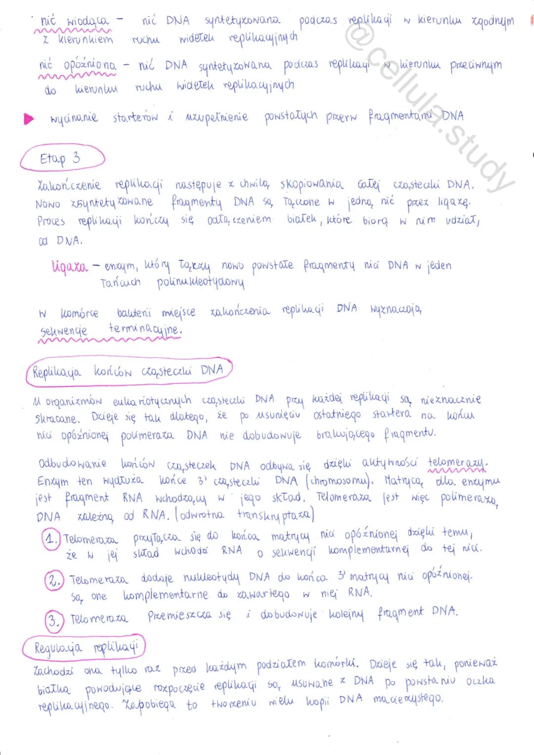 # Replikacja DNA

↓

proces powielania DNA prowadzący do wytworzenia dwóch osteczek DNA
identycznych z cząsteczko, macierzysta

Cechy replik