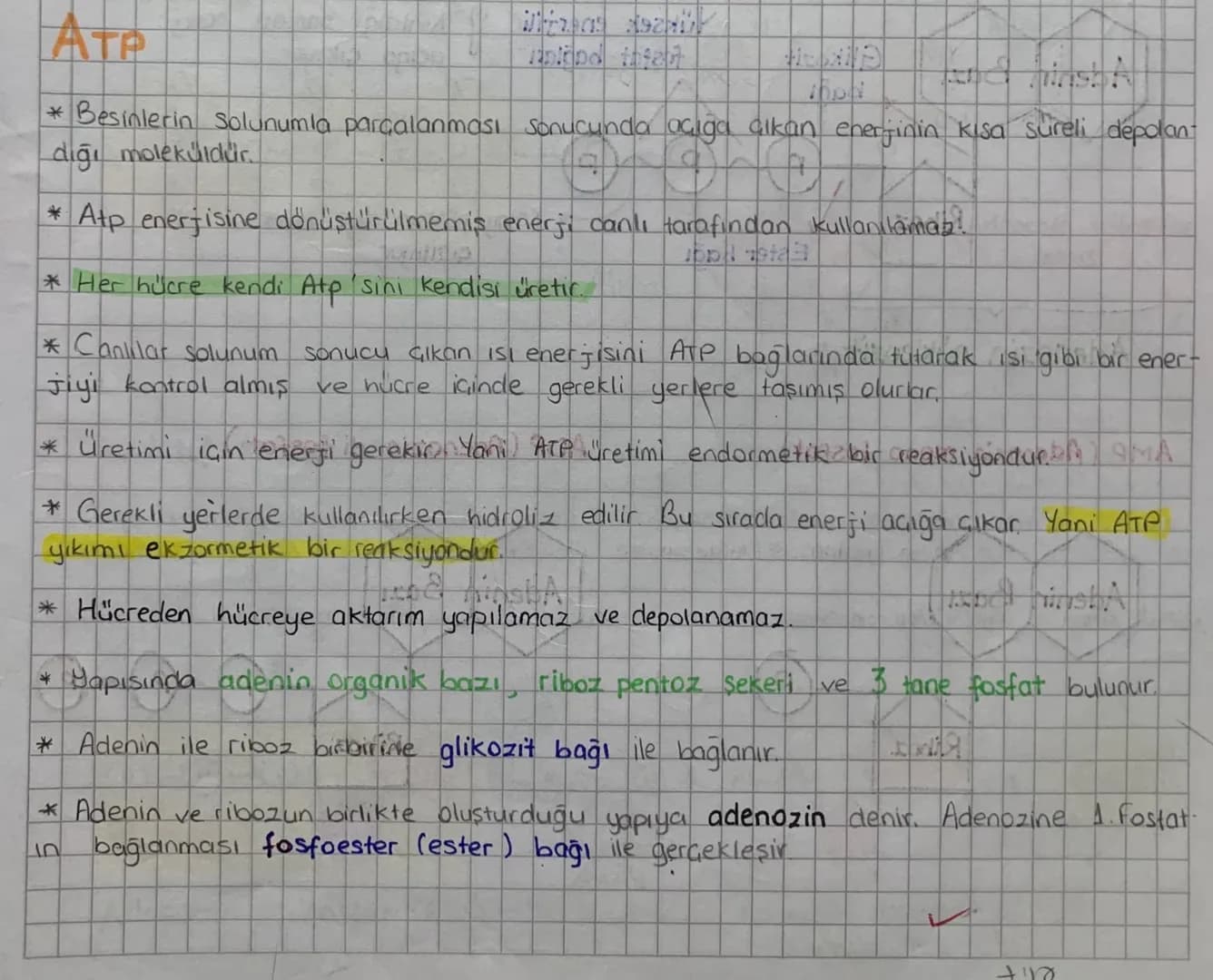 ATP
* Besinlerin Solunumla parçalanması sonucunda açığa çıkan enerjinin kısa sureli depolan
dığı moleküldür.
* Atp enerjisine dönüştürülmemi