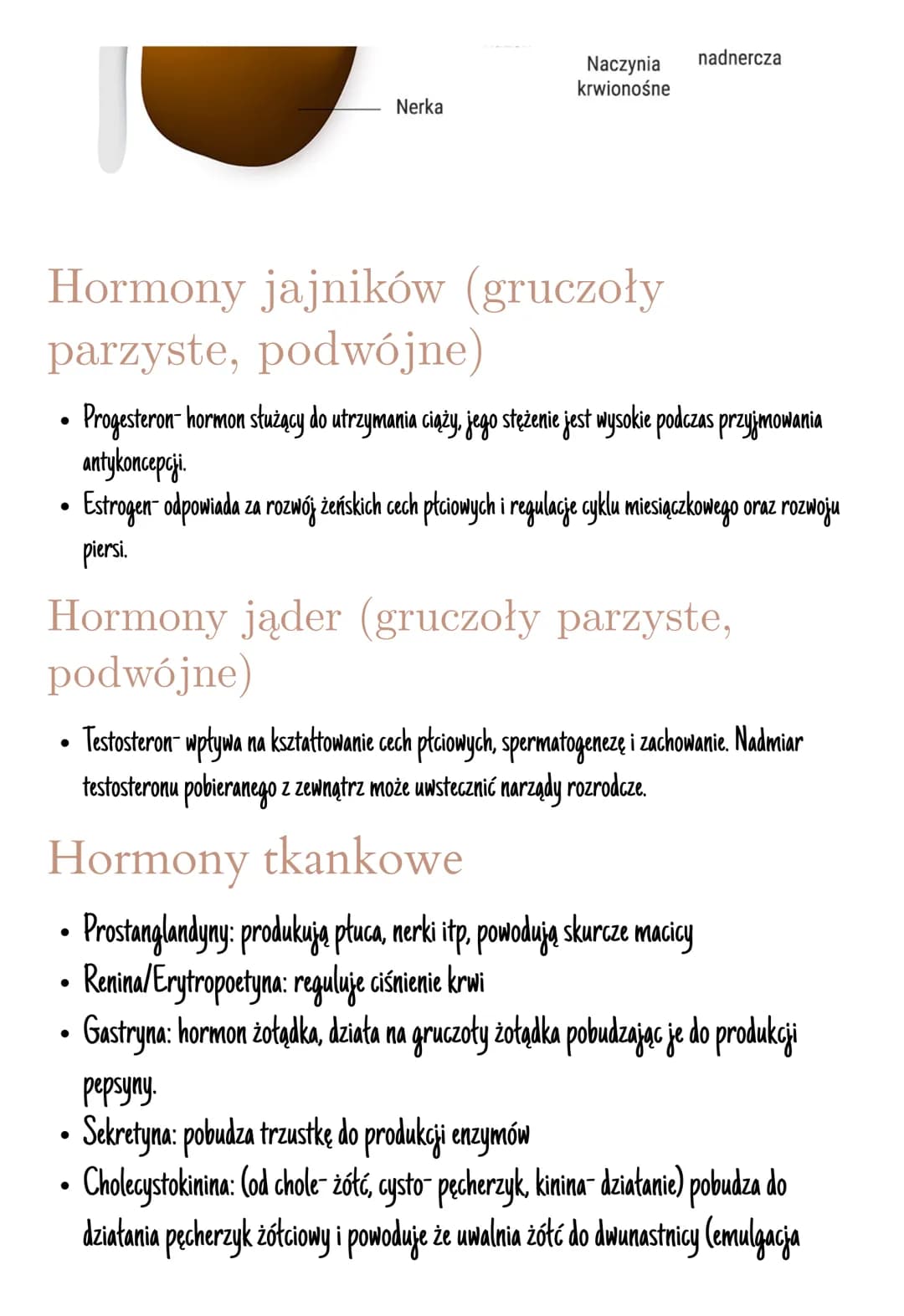 # Układ hormonalny

Jest on zbudowany z gruczołów dokrewnych

Hormony zmieniają aktywność komórek, są produkowane przez wszystkie komórki.

