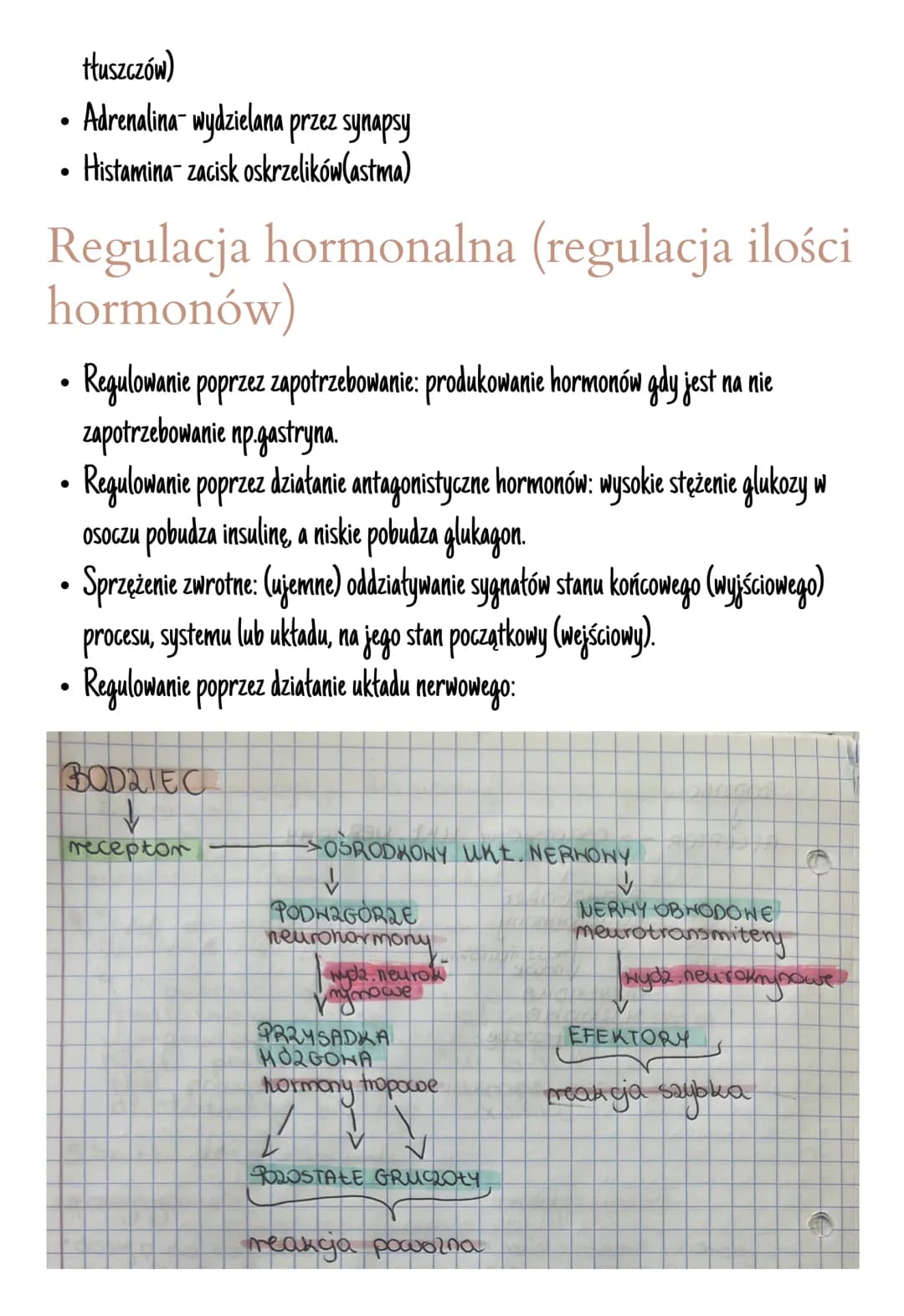 # Układ hormonalny

Jest on zbudowany z gruczołów dokrewnych

Hormony zmieniają aktywność komórek, są produkowane przez wszystkie komórki.

