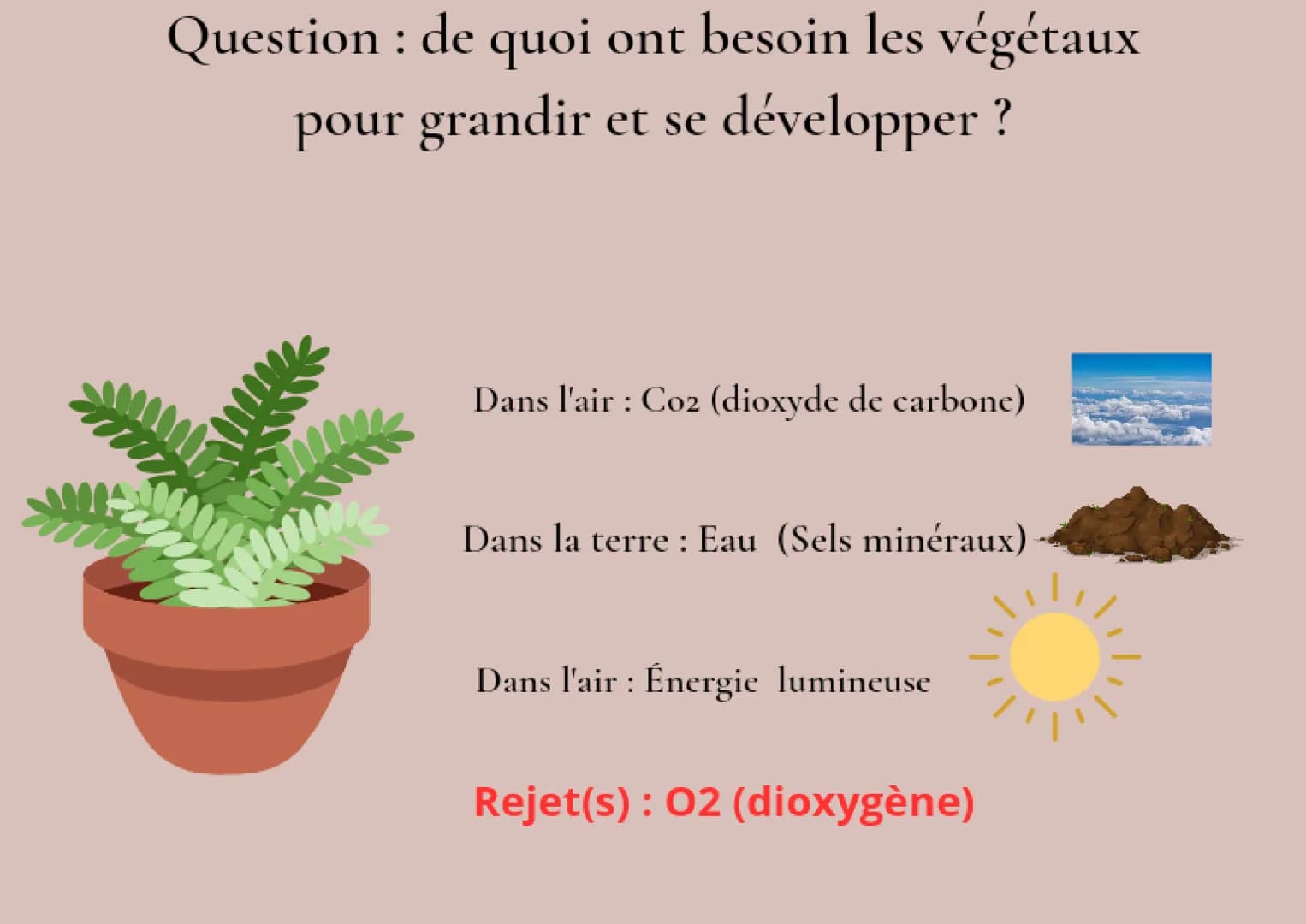 Question : de quoi ont besoin les végétaux
pour grandir et se développer ?

Dans l'air: Co2 (dioxyde de carbone)

Dans la terre: Eau (Sels m