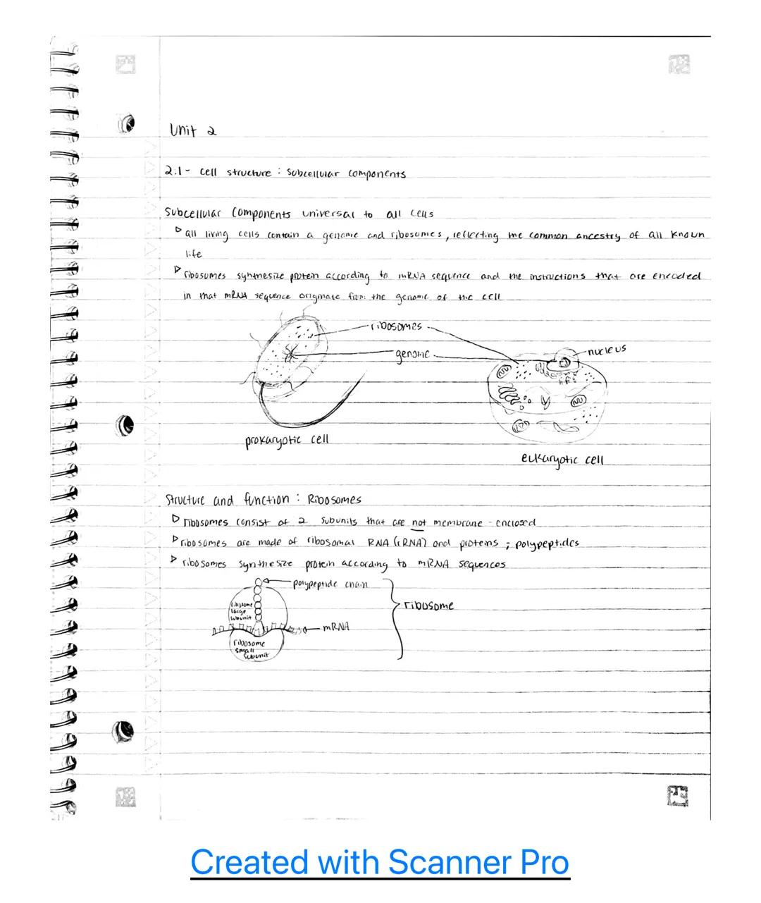 Unit 2

2.1- cell structure: Subcellular components

Subcellular Components universal to all cells

▷ all living cells contain a gename and 