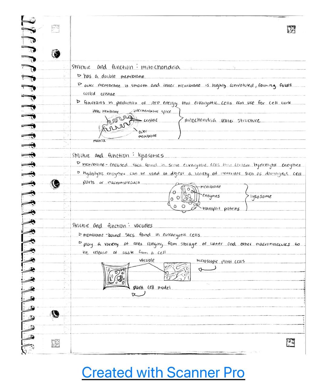 Unit 2

2.1- cell structure: Subcellular components

Subcellular Components universal to all cells

▷ all living cells contain a gename and 