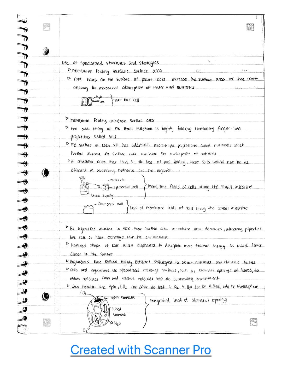 Unit 2

2.1- cell structure: Subcellular components

Subcellular Components universal to all cells

▷ all living cells contain a gename and 