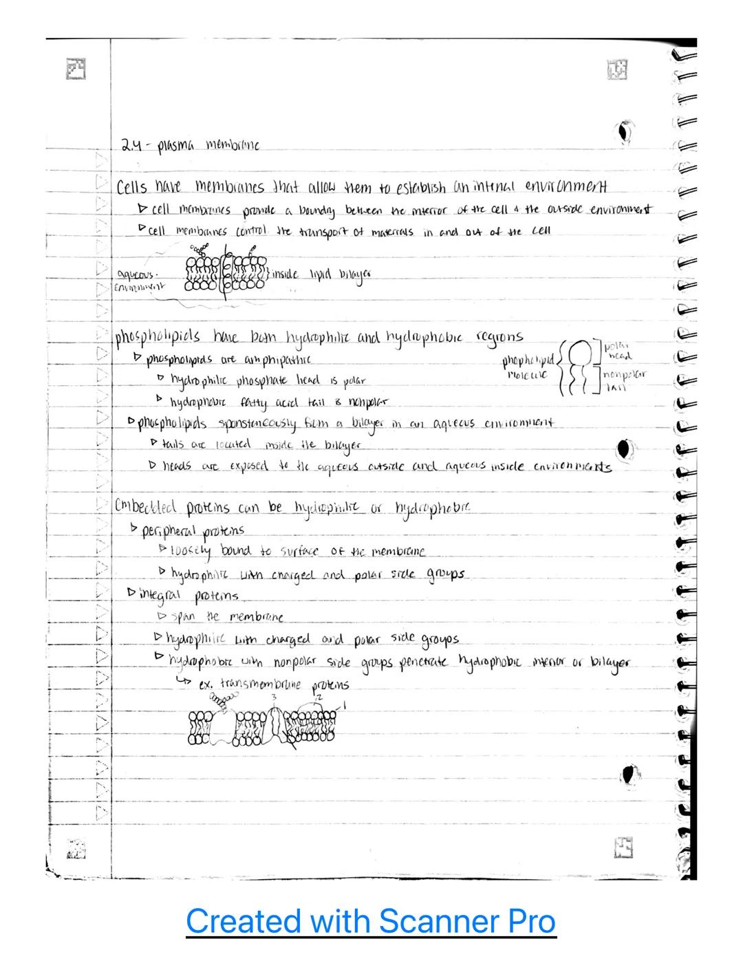 Unit 2

2.1- cell structure: Subcellular components

Subcellular Components universal to all cells

▷ all living cells contain a gename and 