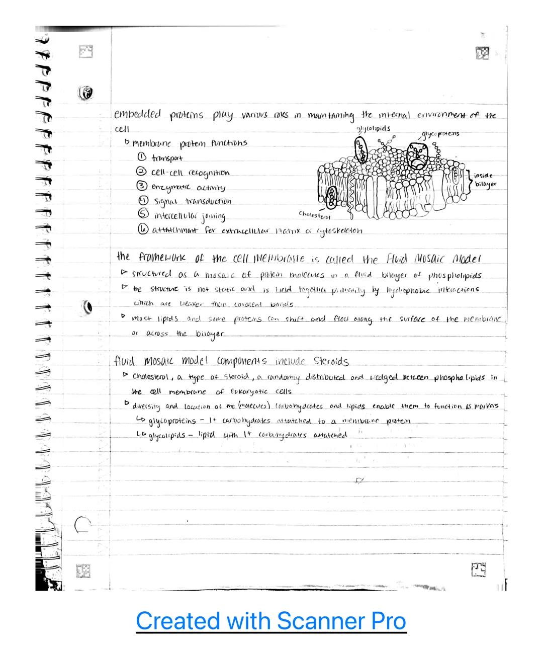 Unit 2

2.1- cell structure: Subcellular components

Subcellular Components universal to all cells

▷ all living cells contain a gename and 