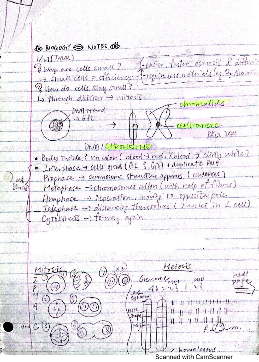 # BIOGOGY NOTES

1/27(THUR)

Why are cells small?.

I-easier, faster esmosis & diffusi

→ small ceus = efficiency-f-require less materials l