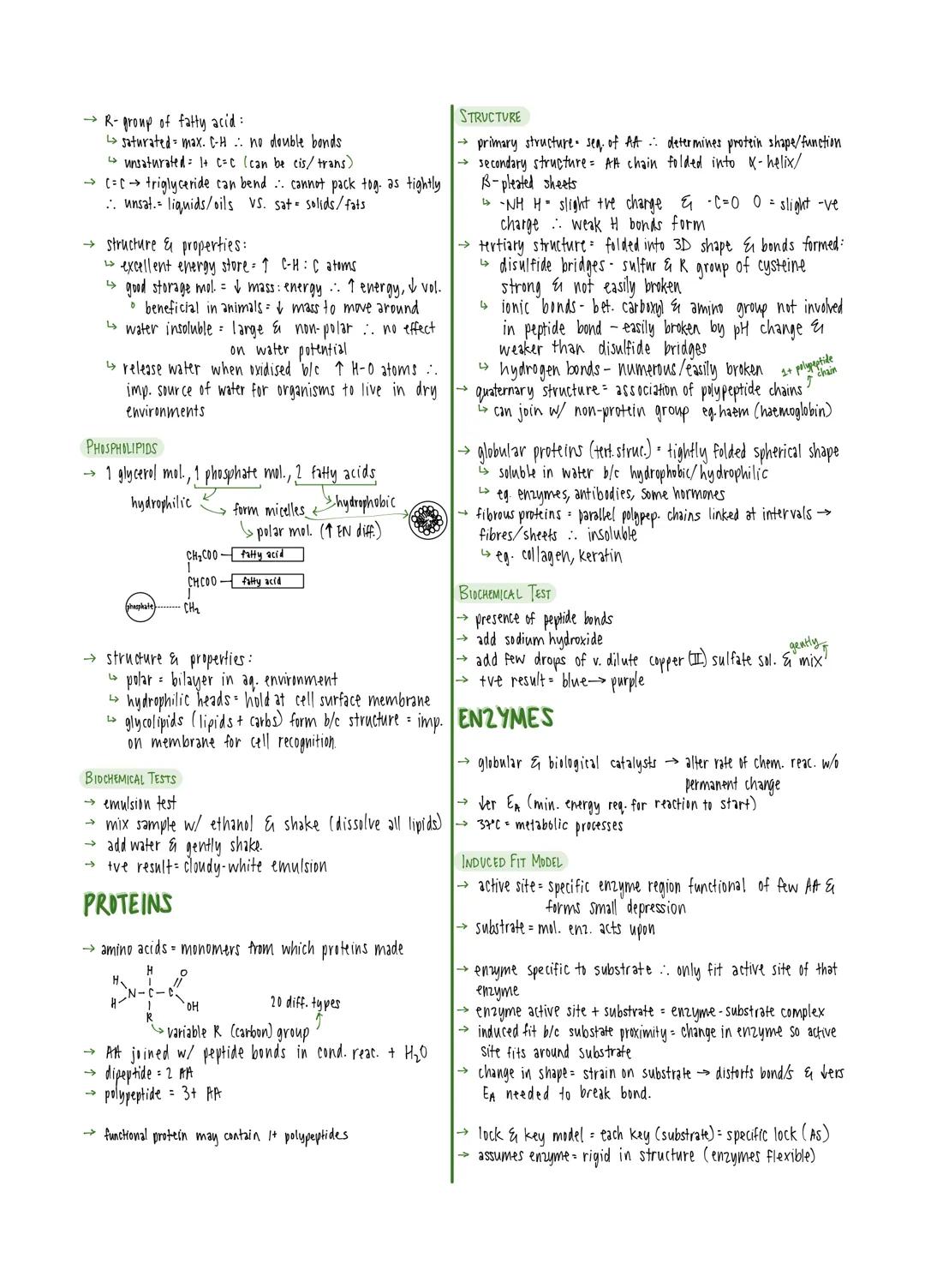 # MONOMERS & POLYMERS

- monomers smaller units from which larger mol. made
- polymers mol made from large no. of monomers joined tog.

- co
