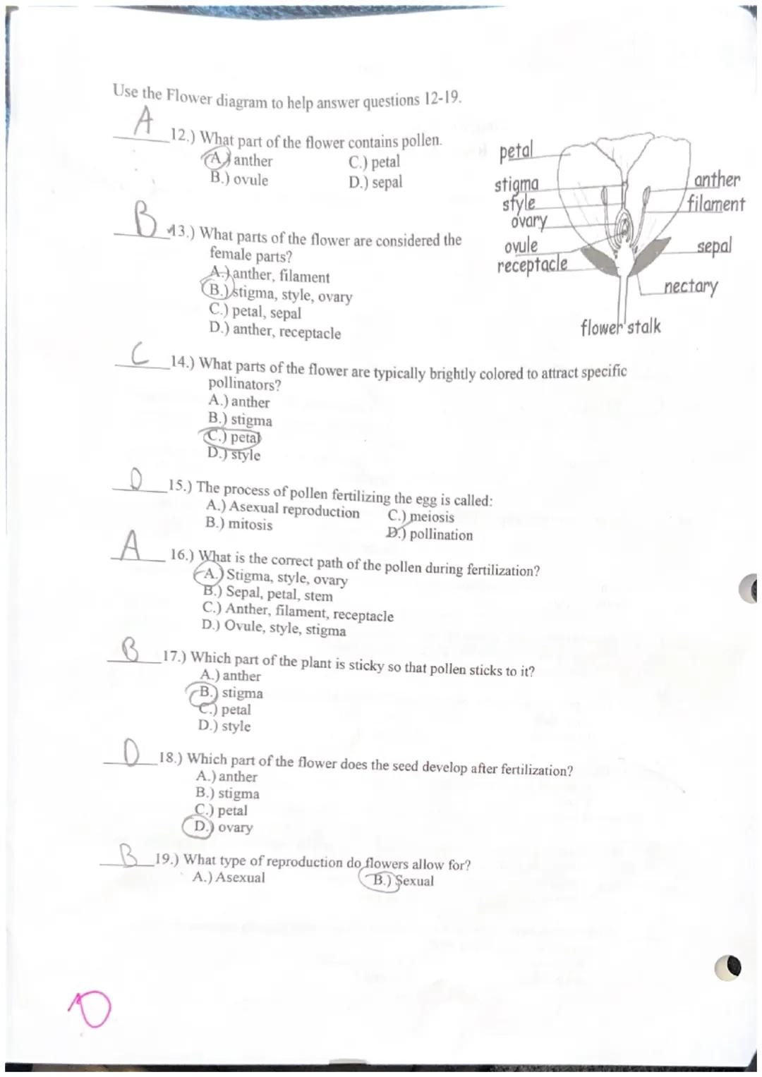 Use the Flower diagram to help answer questions 12-19.
A
12.) What part of the flower contains pollen.
Aanther
C.) petal
B.) ovule
D.) sepal