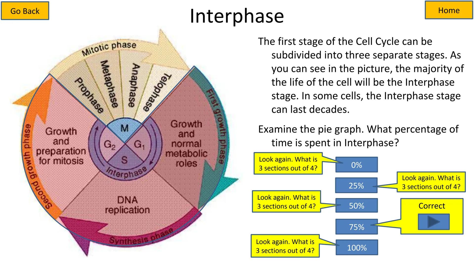 # Cell Cycle and Mitosis Tutorial

Mitotic phase

Telophase

Anaphase

Metaphase

Prophase

Growth
and
preparation
for mitosis

Second growt