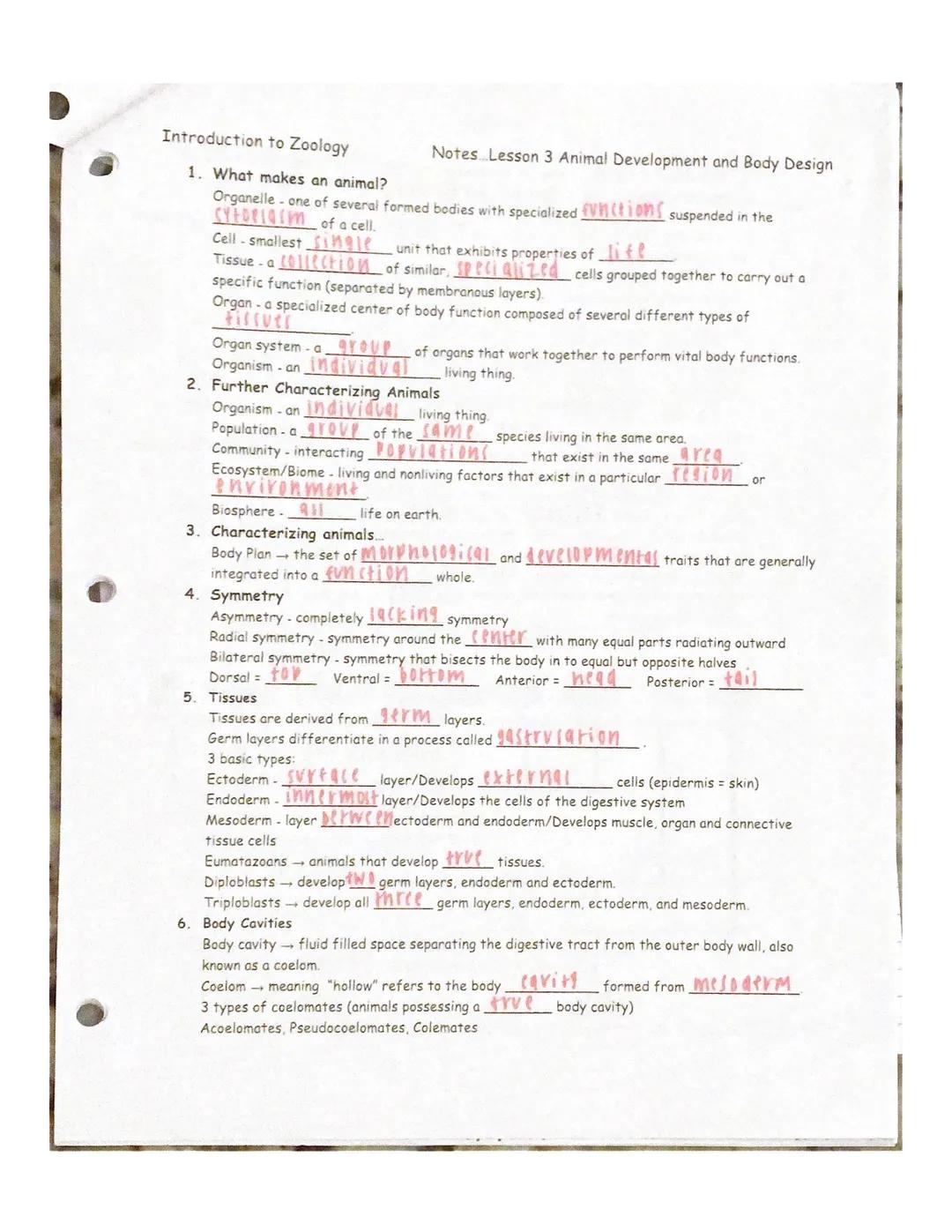 Grayson Tayior

Unit 1~Intro to zoo

introduction to zoos
1. What are two historical uses of animals?
a. hunting for... food
b. Domesticatio