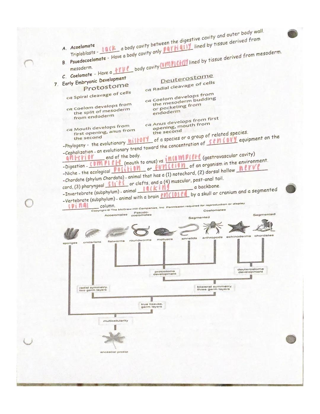 Grayson Tayior

Unit 1~Intro to zoo

introduction to zoos
1. What are two historical uses of animals?
a. hunting for... food
b. Domesticatio