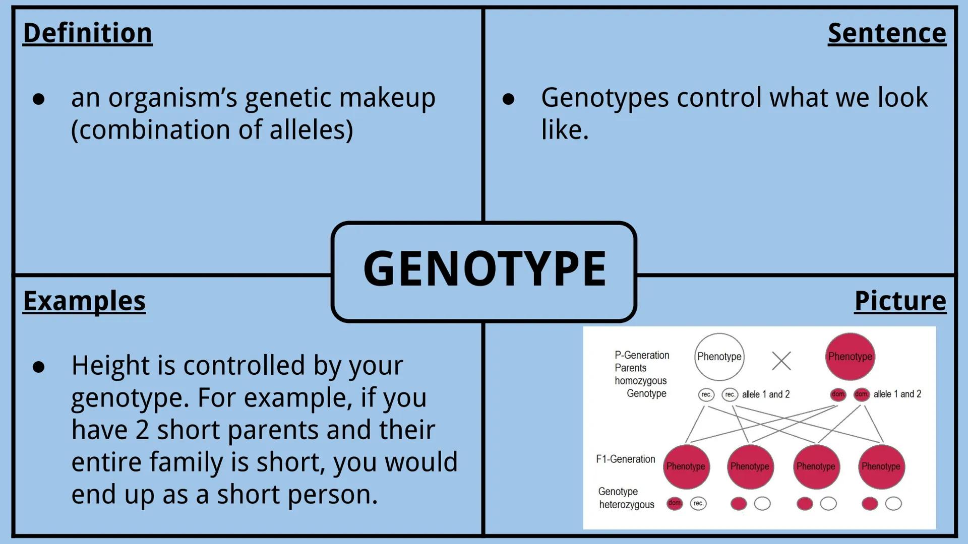 # Genetics Vocabulary

Directions:
Each vocabulary word has its own slide. The definition is given to you.
Complete all boxes:
- Example Box