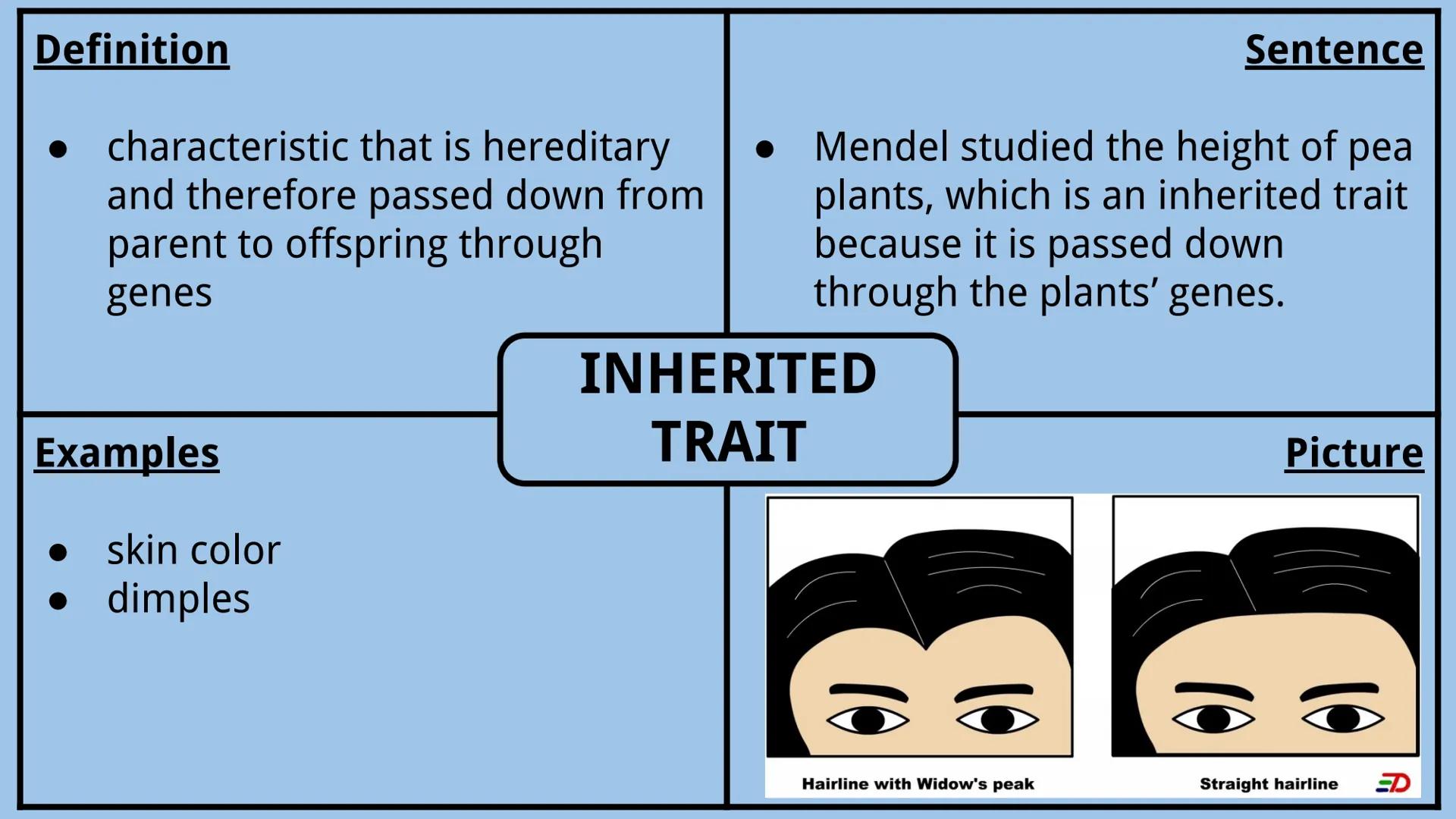 # Genetics Vocabulary

Directions:
Each vocabulary word has its own slide. The definition is given to you.
Complete all boxes:
- Example Box