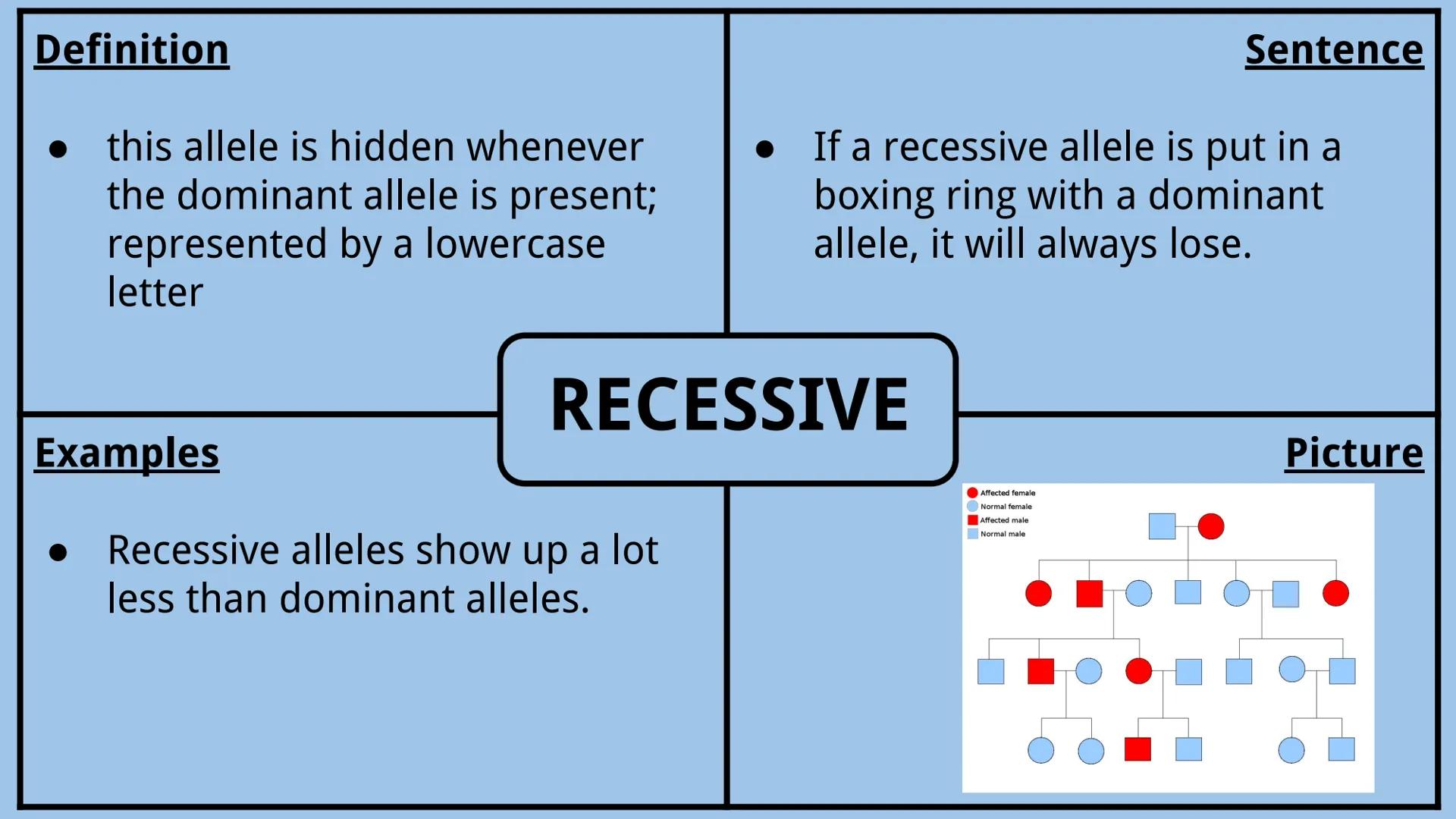 # Genetics Vocabulary

Directions:
Each vocabulary word has its own slide. The definition is given to you.
Complete all boxes:
- Example Box