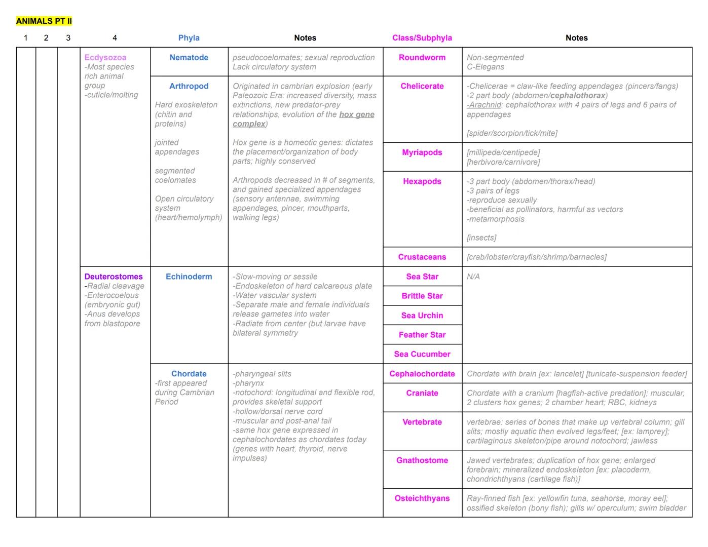 ANIMALS PT I
1
2
3
4
Phyla
Notes
Class
Notes
Choanoflagellate Colony forming protist; Cadherin genes
Metazoa
-heterotrophs that
ingest food
