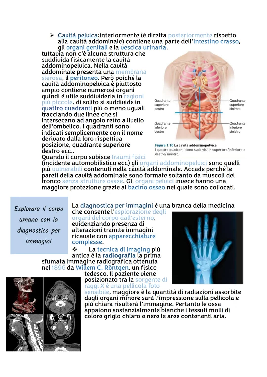 # Anatomia

Il corpo umano è diviso convenzionalmente in alcune parti
principali identificabili all'esterno: la testa, il collo, il tronco
(