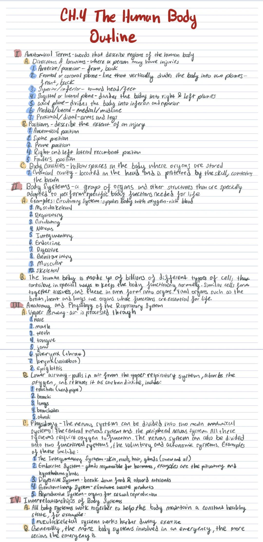# CH.4 The Human Body
## Outline
I. Anatomical Terms-words that describe regions of the humen bady
A. Directions & locurioms-where a person 
