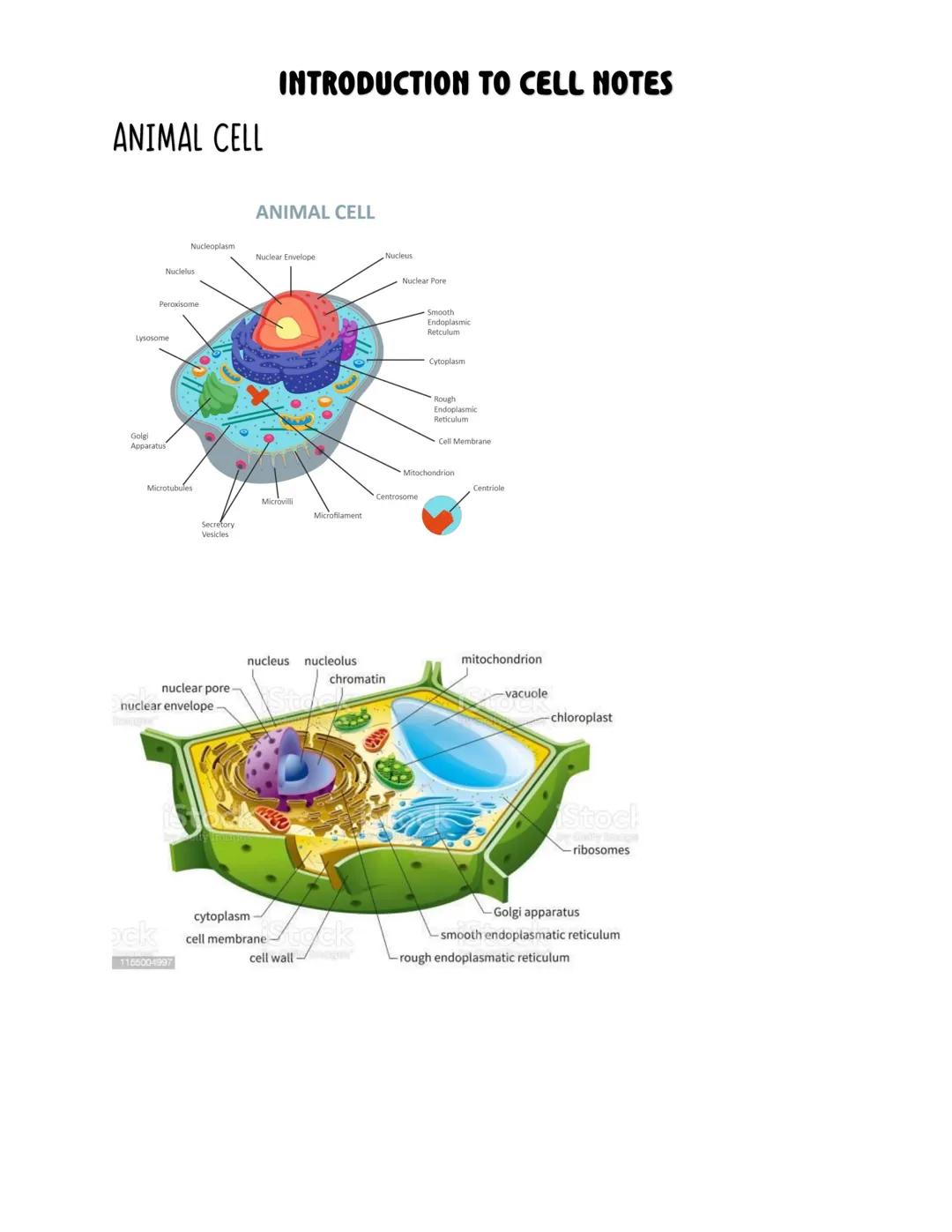 # INTRODUCTION TO CELL NOTES

## CELL IS THE BASIC UNIT OF
### LIFE
The Cell is the basic unit

- Cell is the smallest unit of living
organi
