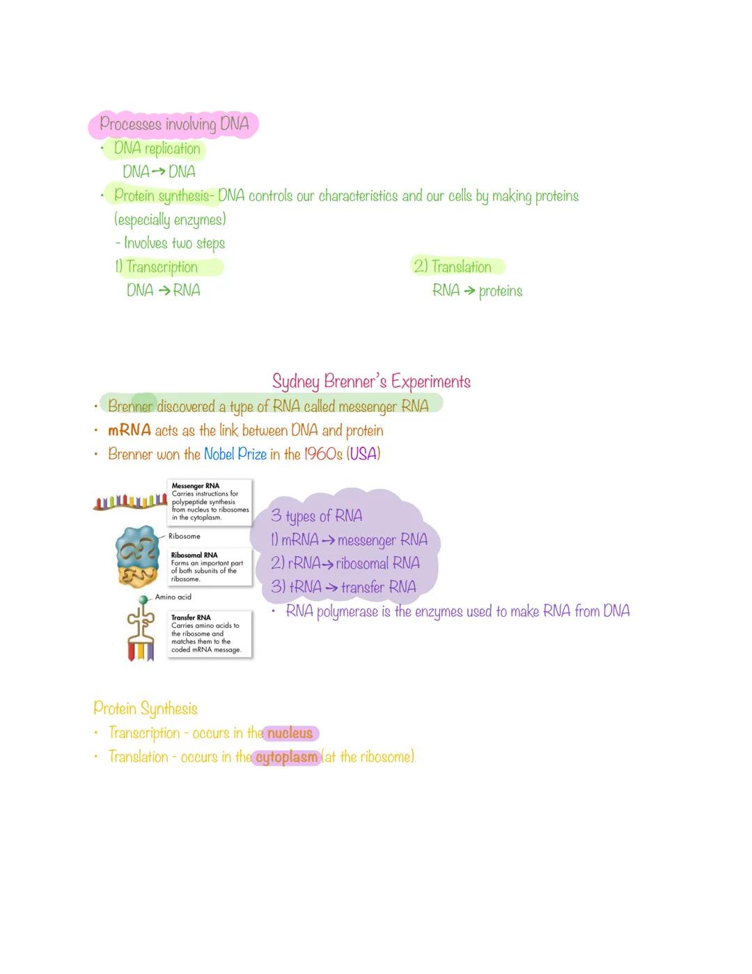 # Chapter 12: Molecular Geet

## The Early Scientists

*   Gregor Mendel- the father of genetics (1865) (Austria)
*   Frederich Miescher- di