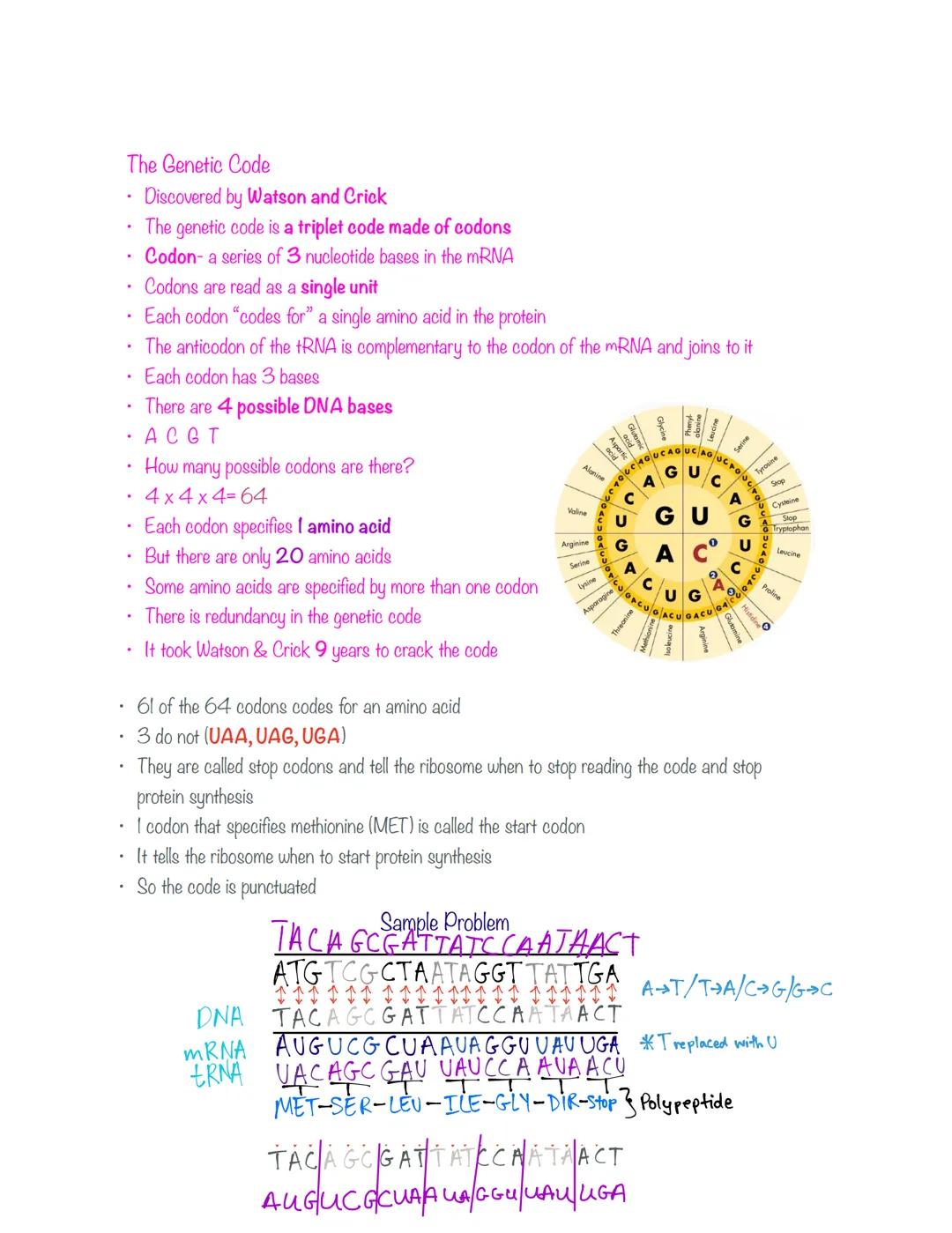 # Chapter 12: Molecular Geet

## The Early Scientists

*   Gregor Mendel- the father of genetics (1865) (Austria)
*   Frederich Miescher- di