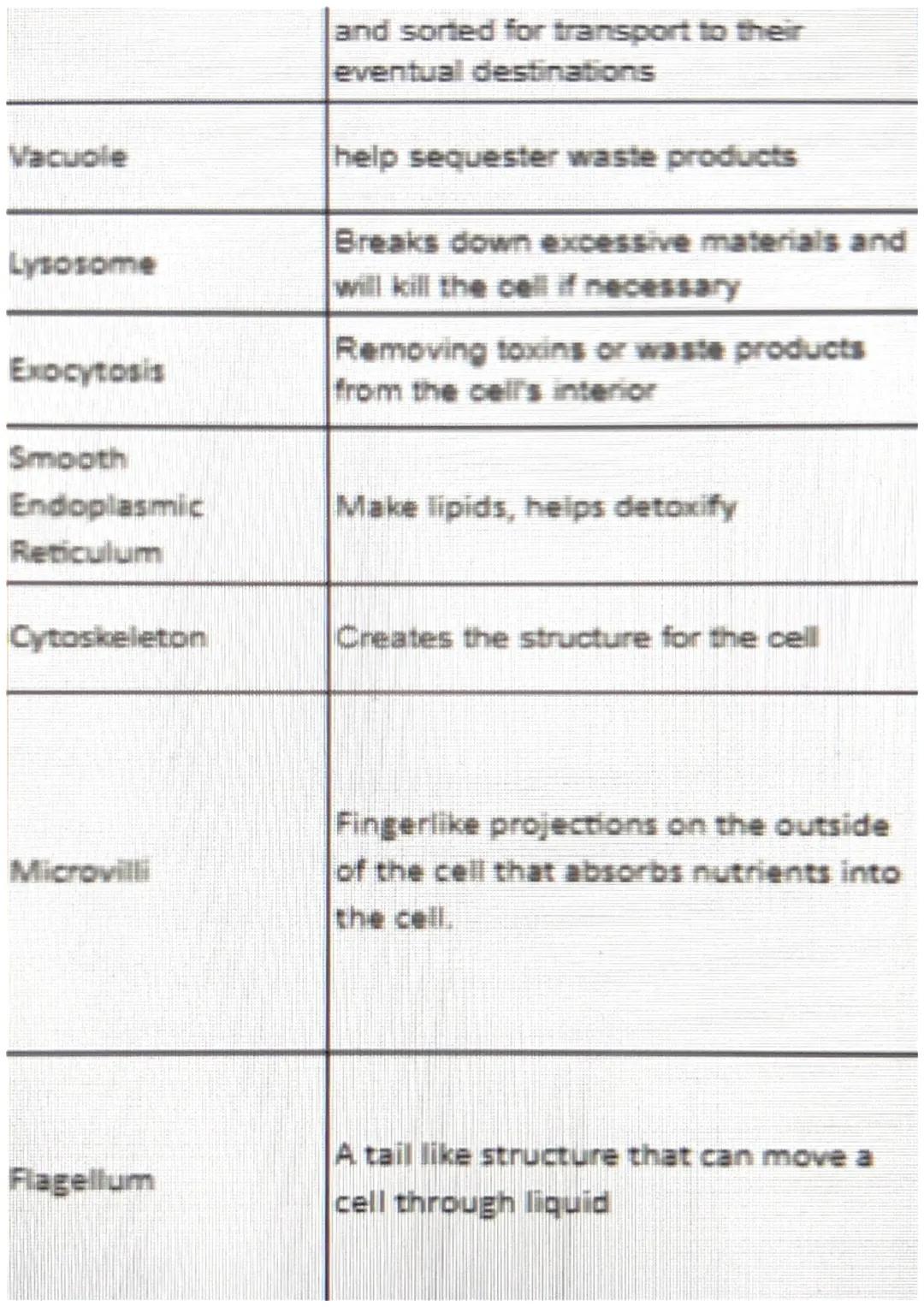 Cell membrane
Controls what comes in and what
comes out
Membrane pores
Materials can move in and out of
cells, controlled
Blood in arteries
