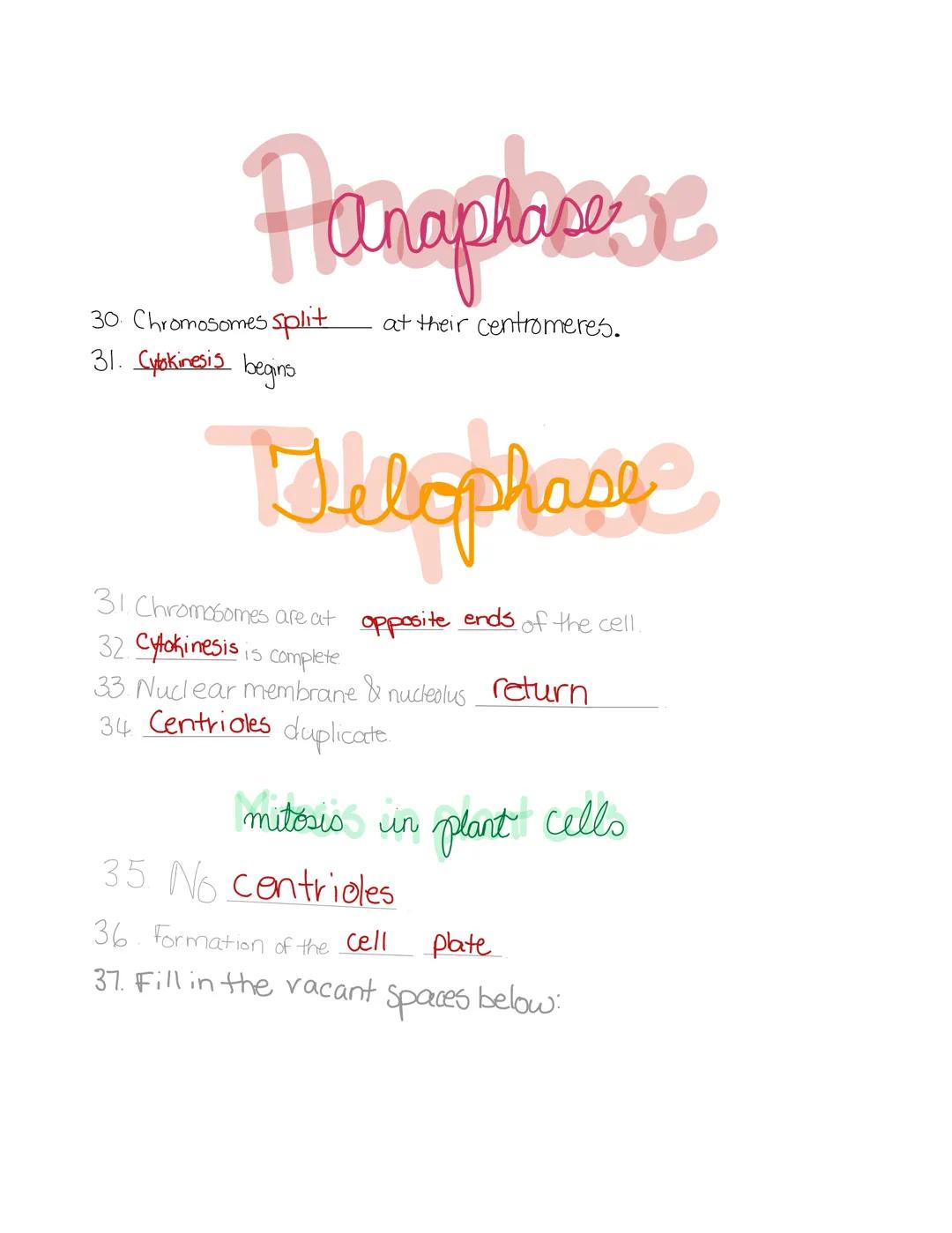 # MITOSIS
## Review

CN

Layla
Guthrie 1. Mitosis is the division of the nucleus.
2. Cytokinesis is the division of the cytoplasm.
3. Name t