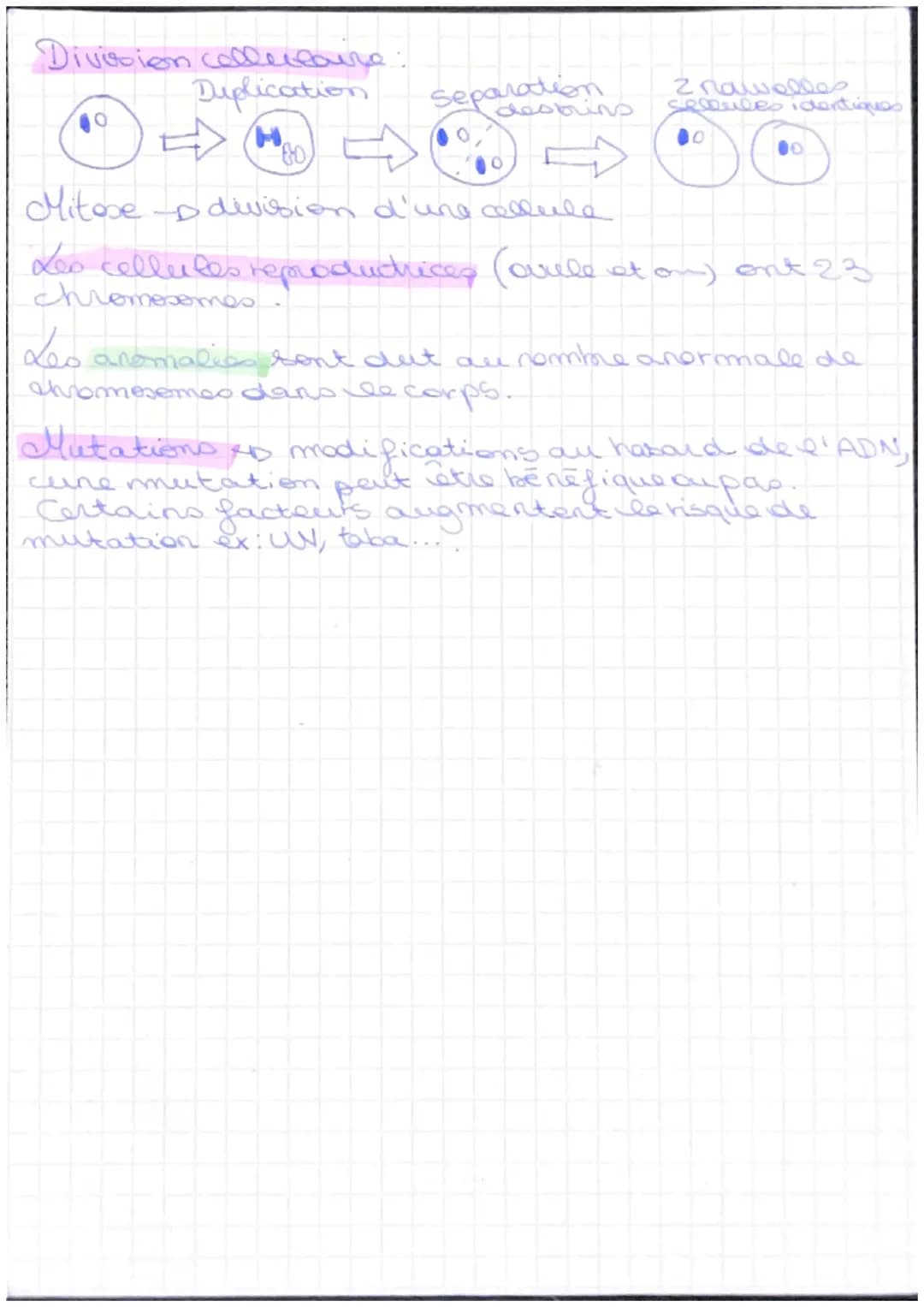 # Fiche de révisiones SUT

- Le phenotype d'un individu et l'ensemble des
caracteres qu'il elle permède.

- caractères héréditaristo que se 