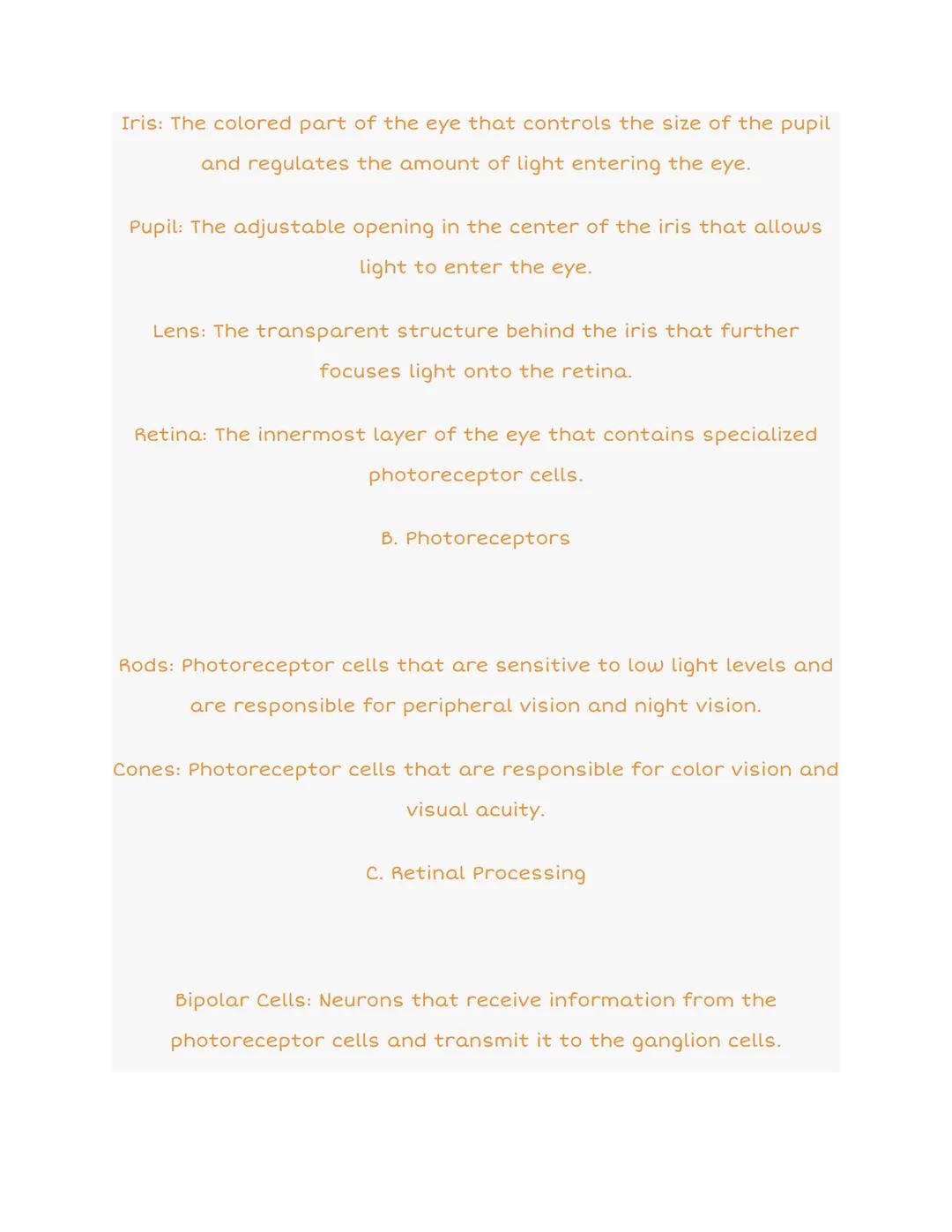 3.3 Visual Anatomy: Organized Notes

Sclera
Aqueous Humor
Ligne
EYE
RETINA
Fores
Blood Vessels
Optic
Clary Body
Adepted from WEBVISION Ntp:/