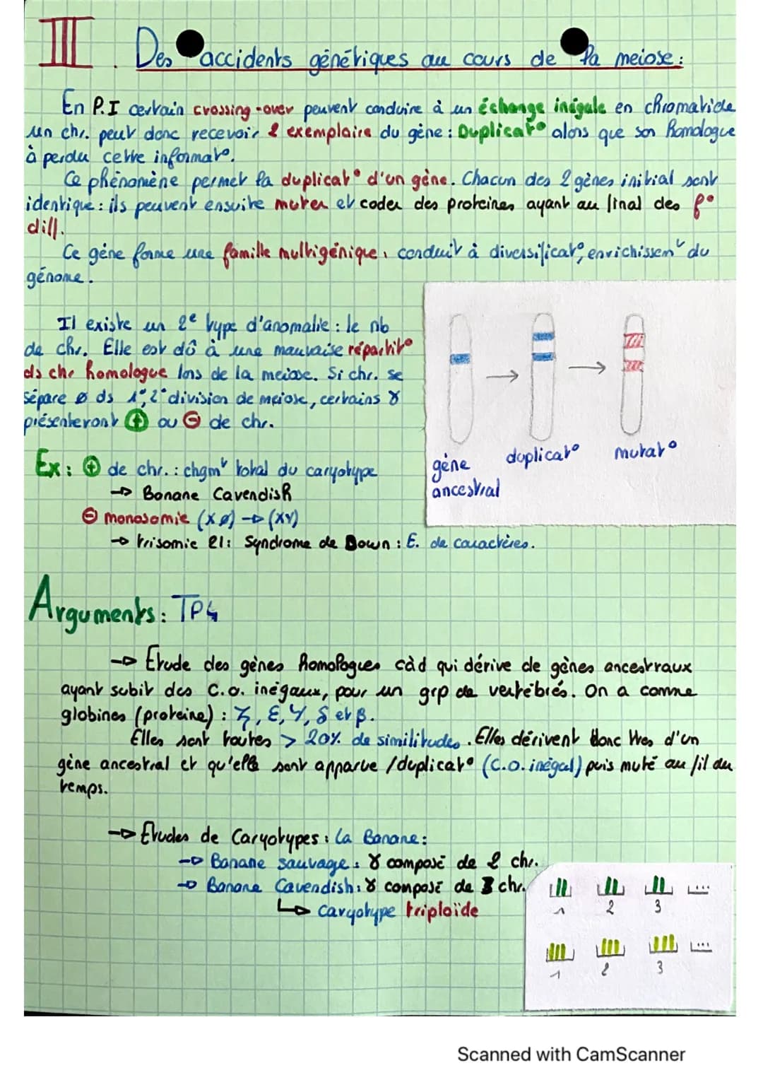 SVT
Spé
1
L'Origine Du Cenotypes Des Individu Chapitre Ts
I. Stabilité génétique et évolution clonale : Conservation gérann
Une & qui subit 