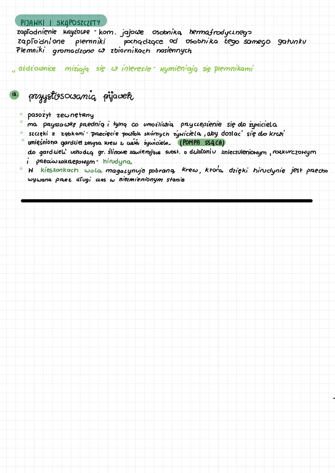 # pierścienice

Przegląd systematyczny pierścienic

TYP: PIERŚCIENICE (ANNELIDA)

Gromada: wieloszczety
(Polychaeta)

*   Większość z nich t