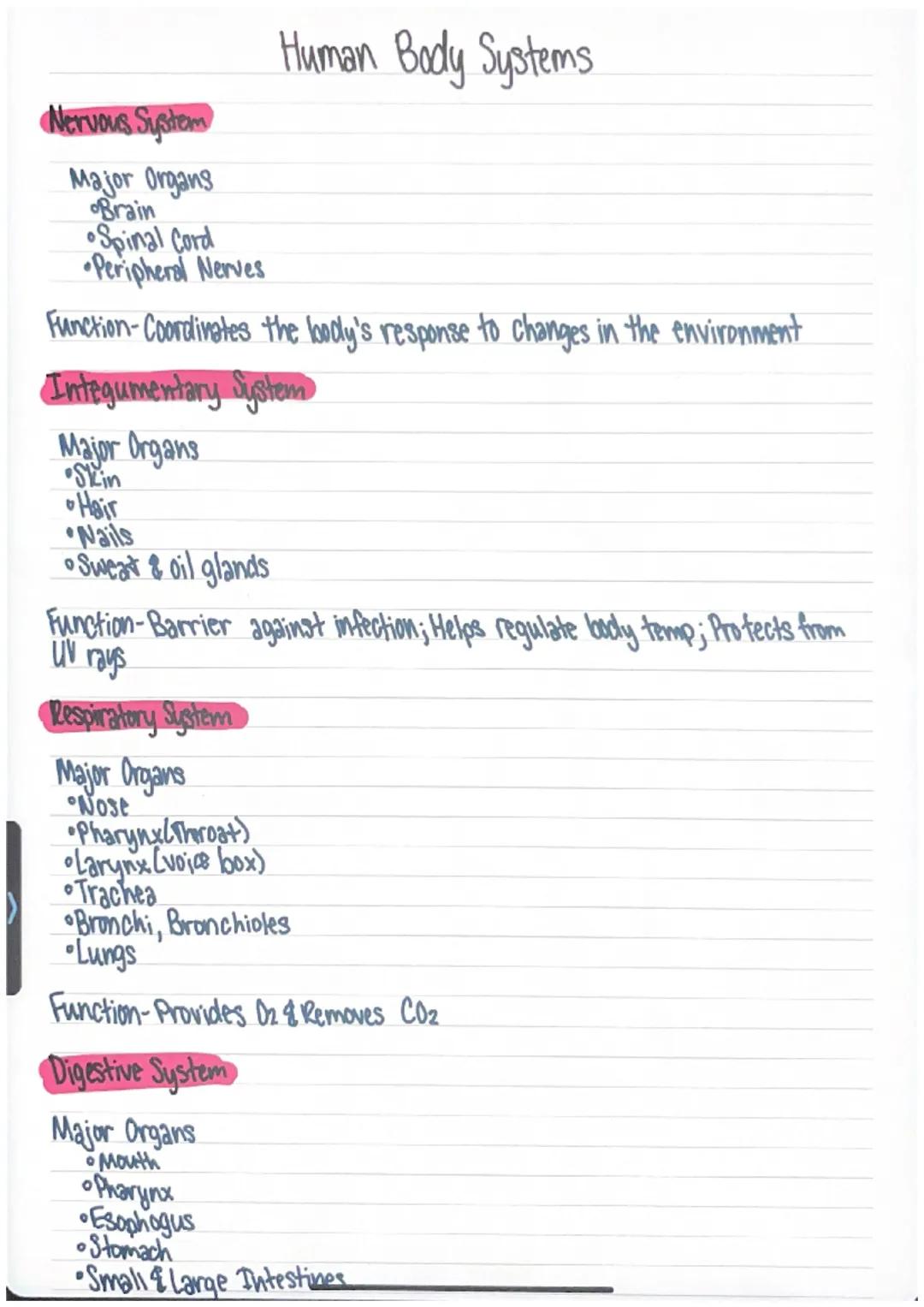 Human Body Systems

Nervous System
Major Organs
Brain
•Spinal Cord
•Peripheral Nerves

Function-Coordinates the body's response to changes i