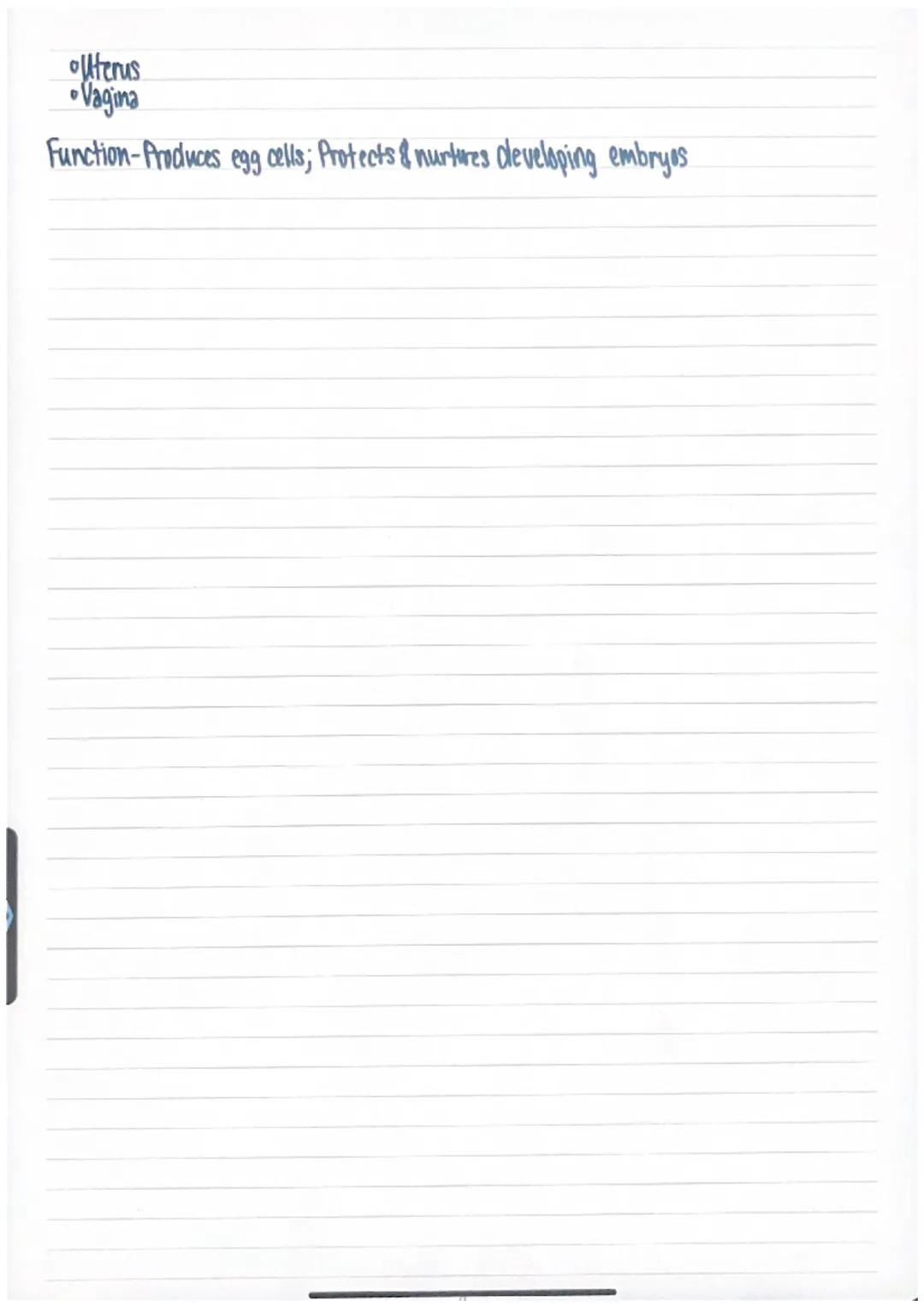 Human Body Systems

Nervous System
Major Organs
Brain
•Spinal Cord
•Peripheral Nerves

Function-Coordinates the body's response to changes i