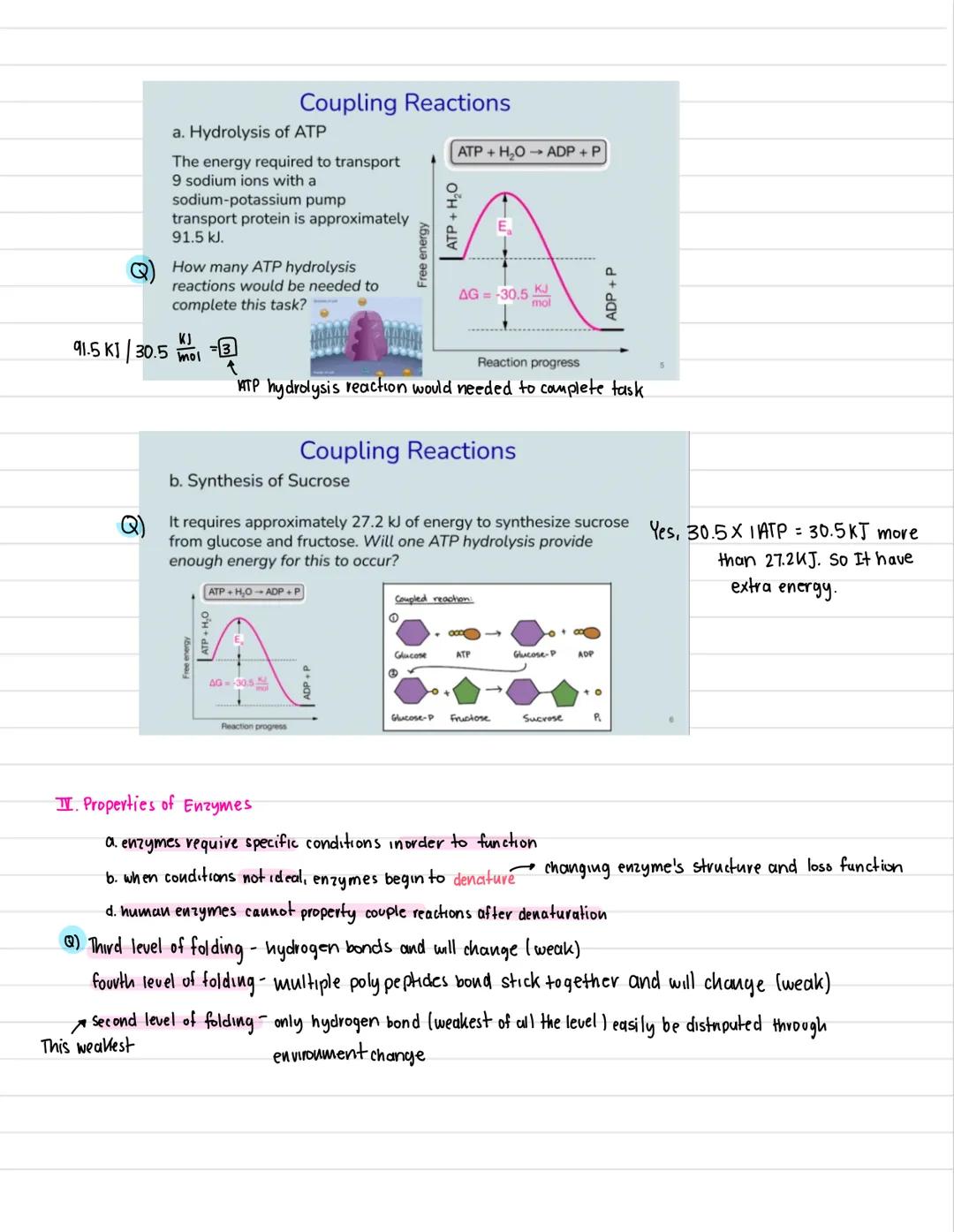 # COUPLING REACTION

Aim: why are enzyme-controlled reactions coupled?

Do now: The net amount of energy is collected as result of chemical 