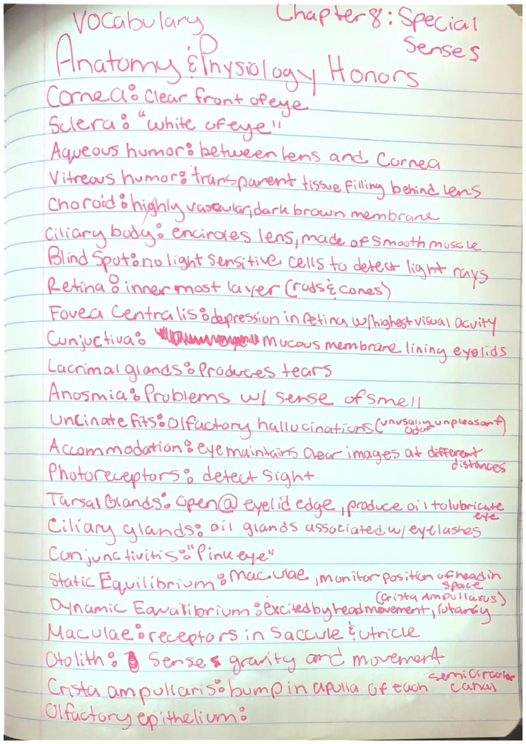 Vocabulary
Chapter 8: Special
Senses
Anatomy &Physiology Honors
Cornea: Clear front of eye"
Sclera: "white of eye!"
Aqueous humor: between l