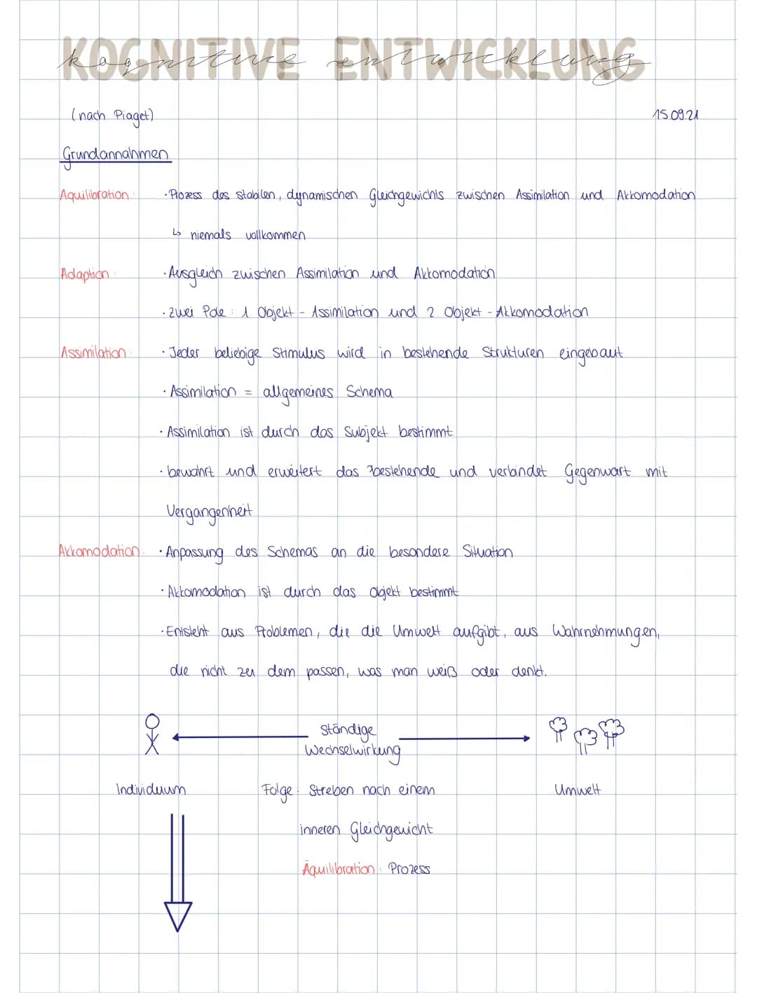 KOGNITIVE ENTWICKLUNG

(nach Piaget)

15.09.21
Grundannahmen
Aquilibration

Adaption

Assimilation

Akkomodation

•Prozess des stabilen, dyn