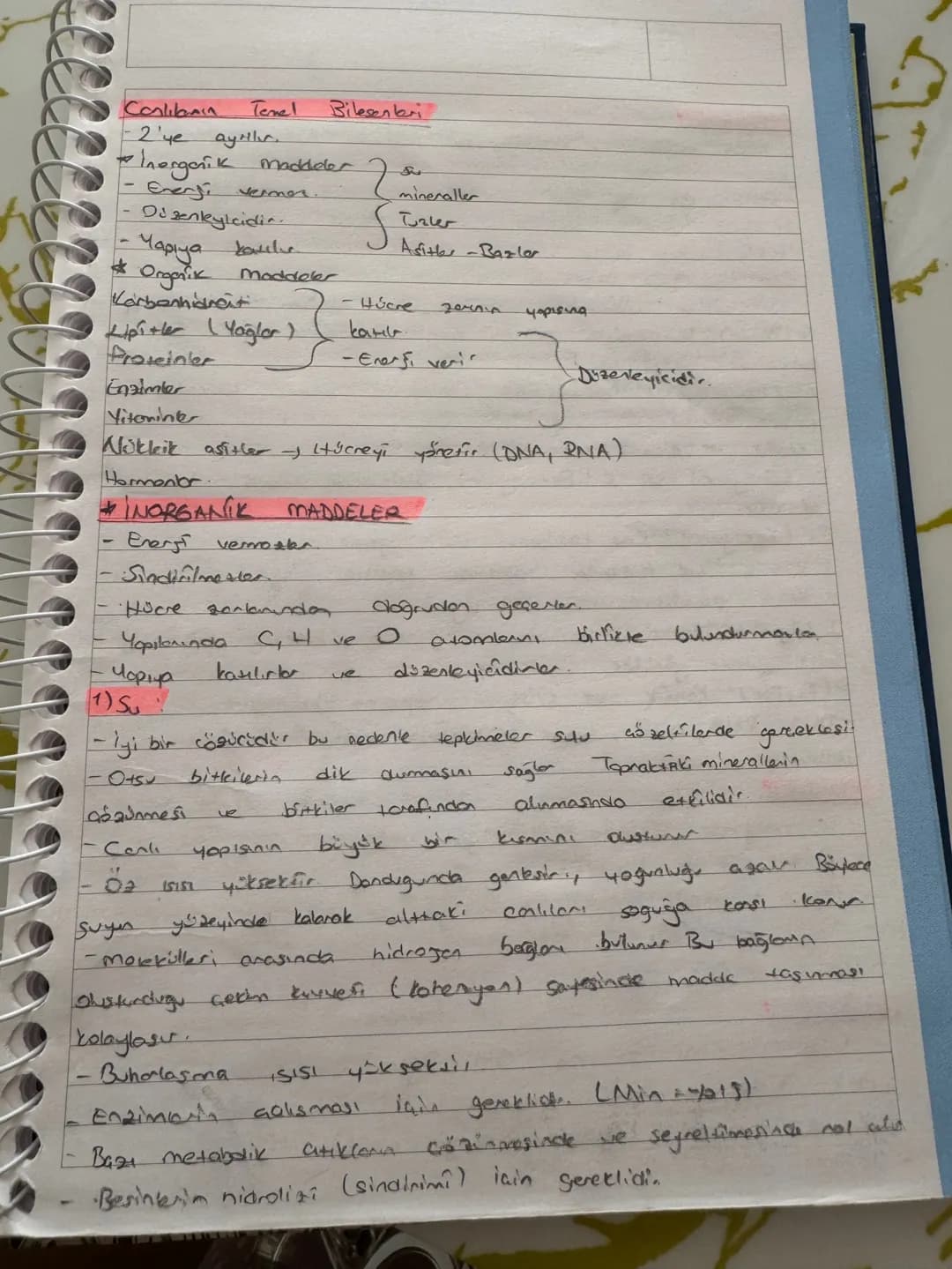 Conlikanın Temel Bilesenteri
- 2'ye ayrılır.
- Inorganik maddeler
- Energi vermor.
- Di zenkylcidin
- Yapıya katılır
* Ongarik Maddeler
Karb
