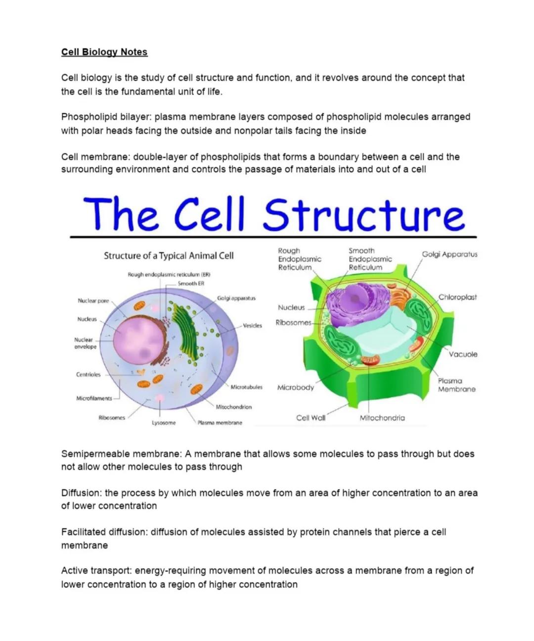 # Cell Biology Notes

Cell biology is the study of cell structure and function, and it revolves around the concept that
the cell is the fund