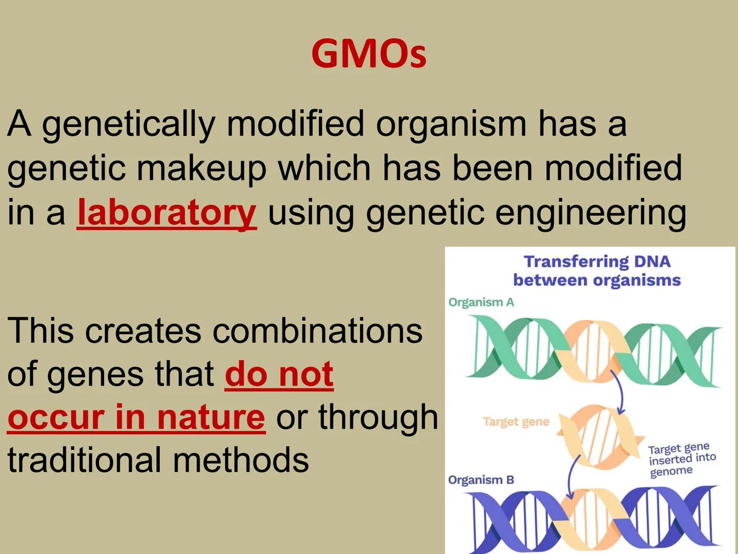 ## GMOs

# ARE GMOs REALLY DOING MORE HARM THAN GOOD? Do Now: Look at the pairs of pictures
below and predict why they are
different.

P2 3: