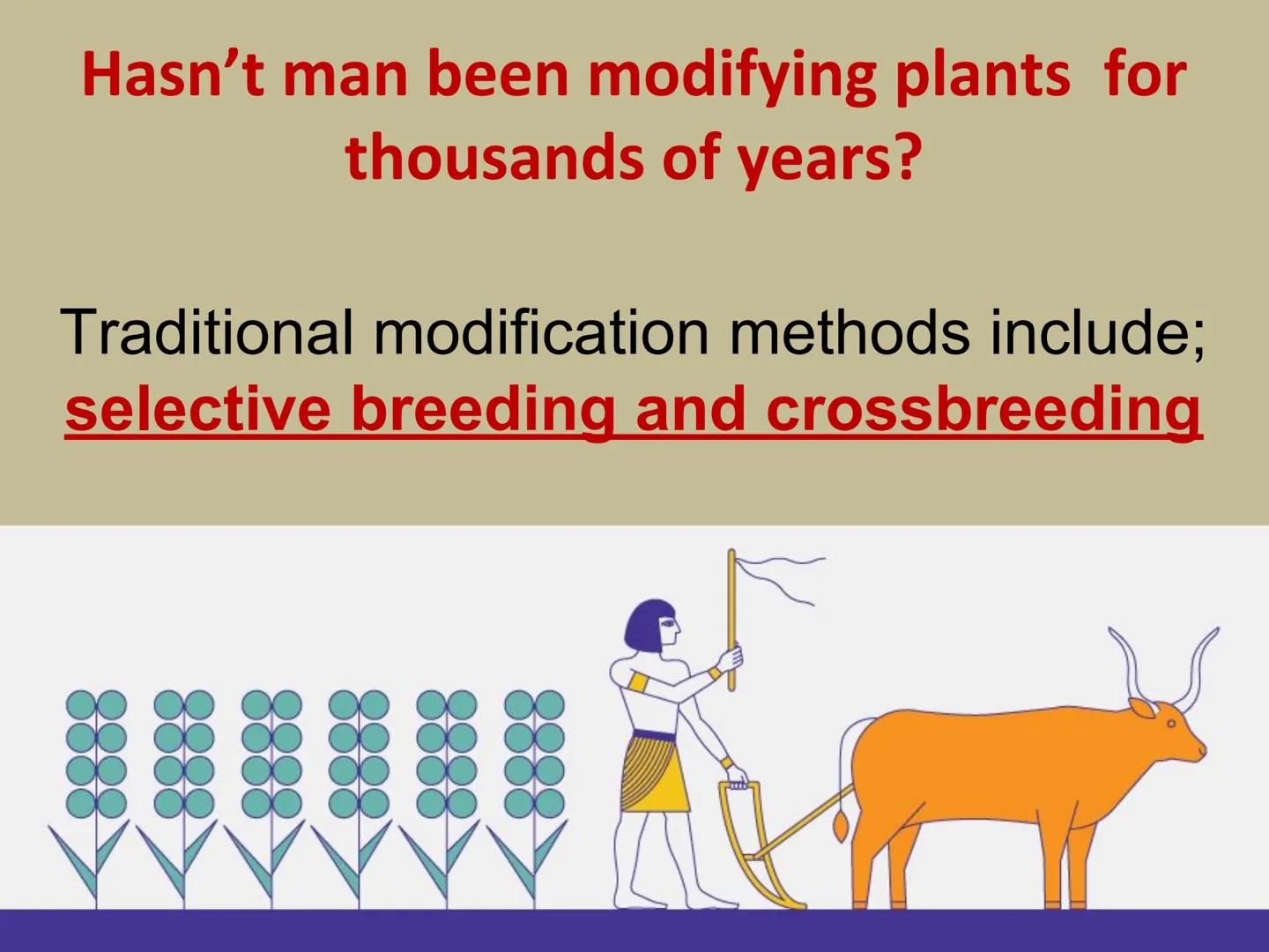 ## GMOs

# ARE GMOs REALLY DOING MORE HARM THAN GOOD? Do Now: Look at the pairs of pictures
below and predict why they are
different.

P2 3: