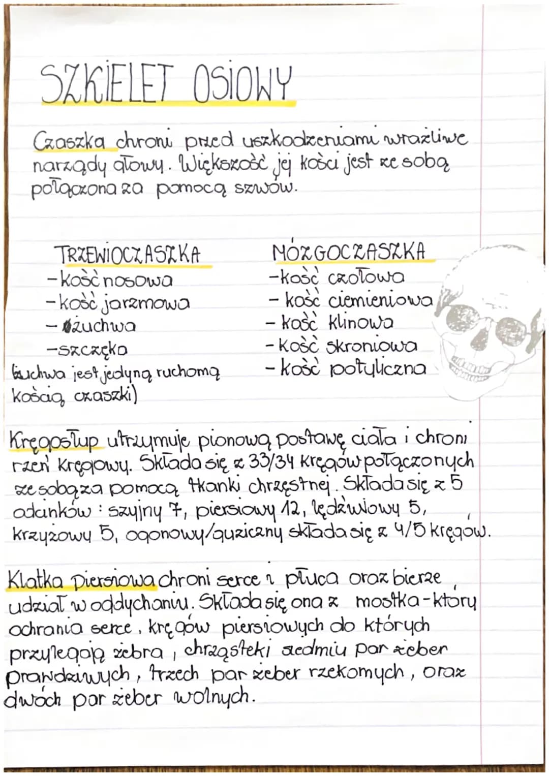 # BUDOWA KOSCI

Budowa chemiczna koša
W skład chemiczny kości wchodzi tkanka kostna i
chrzęstna. Ale i równiez związki mineralne i organiczn