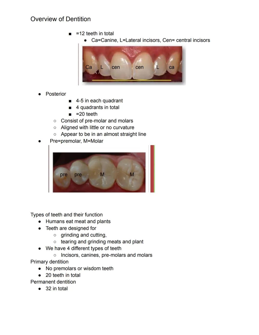 # Overview of Dentition

What we should know this chapter.

1. Dentition- describes the natural teeth in the jawbone
2. The dental assistant