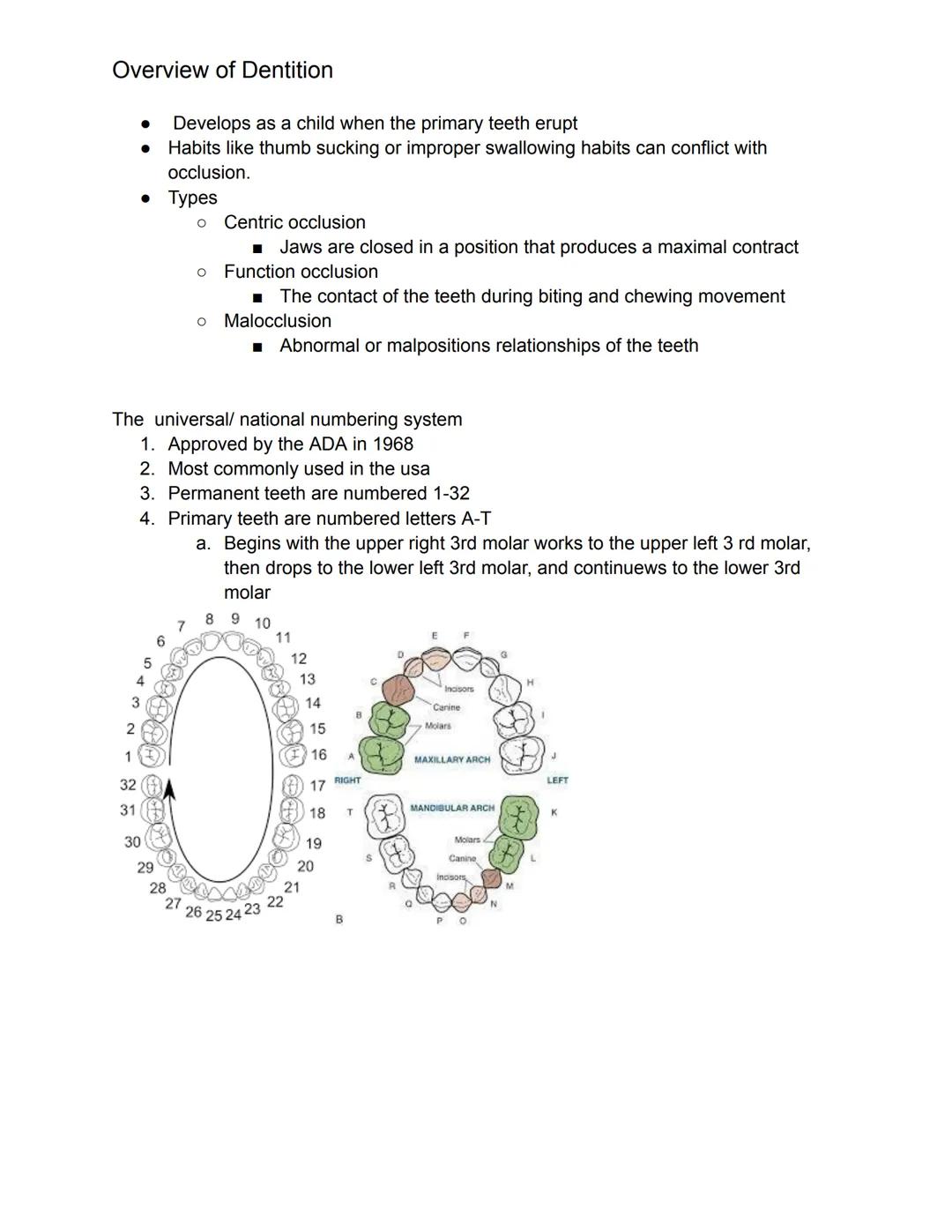 # Overview of Dentition

What we should know this chapter.

1. Dentition- describes the natural teeth in the jawbone
2. The dental assistant
